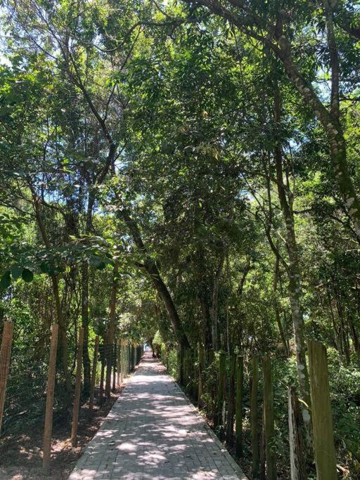 Apartamento aconchegante a 200 metros da praia