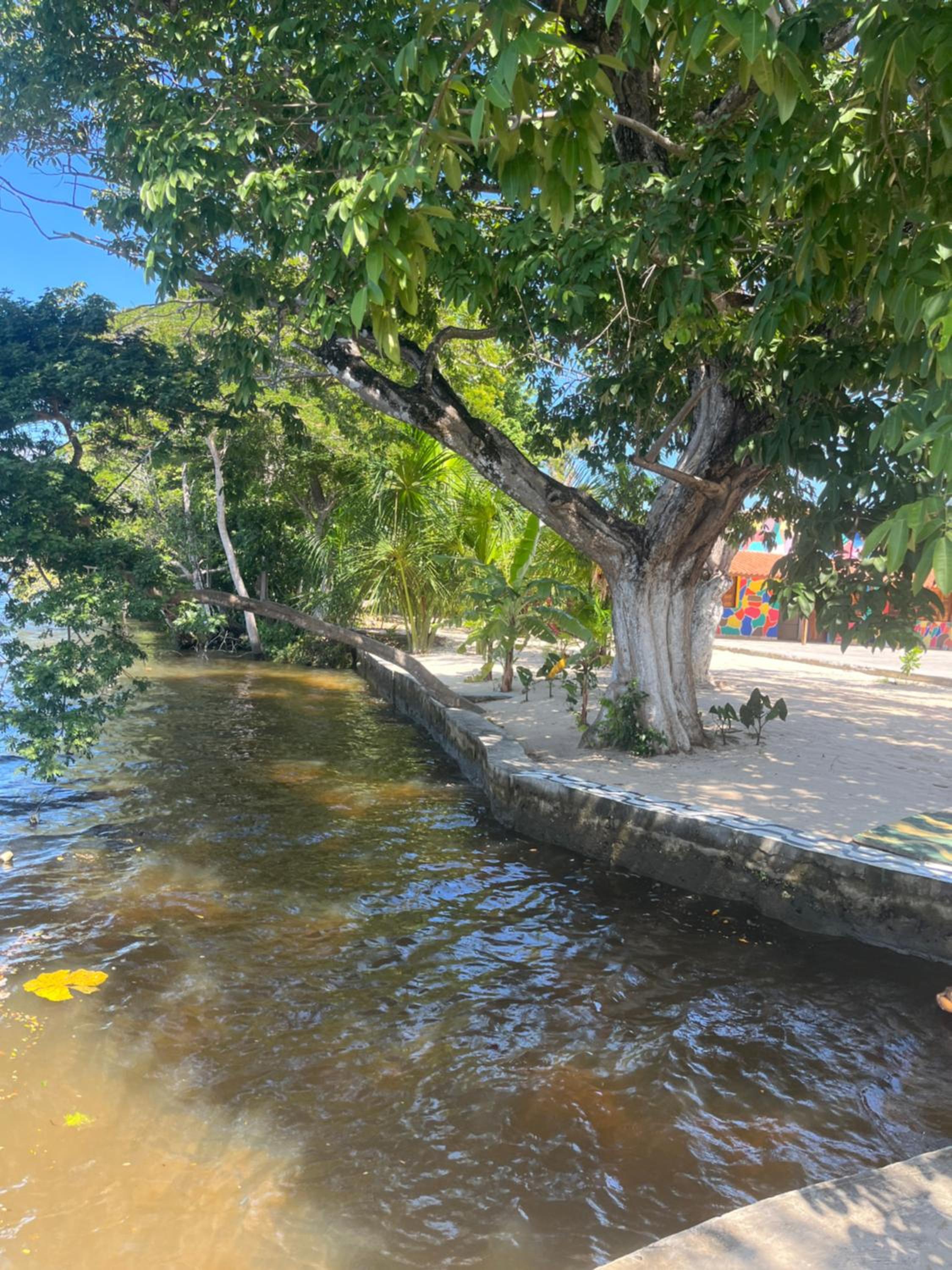 POUSADA PARAÍSO CULTURAL