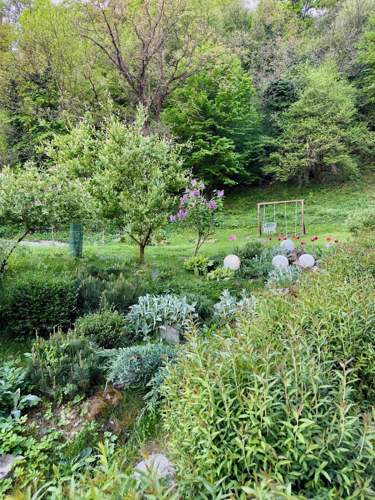 Photo 6