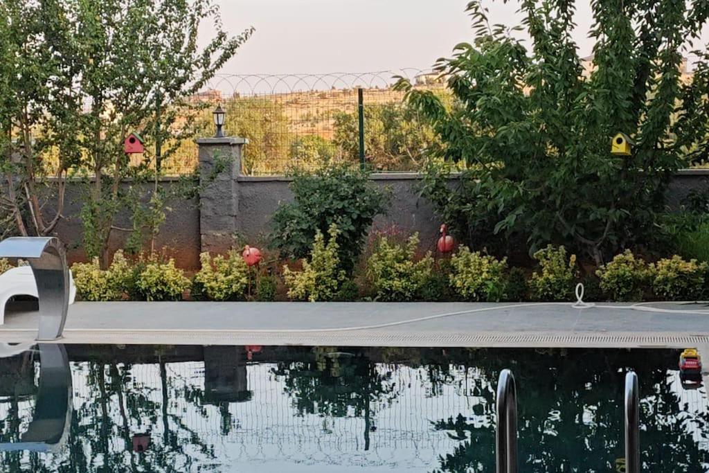 villa big green garden swimming pool view 5