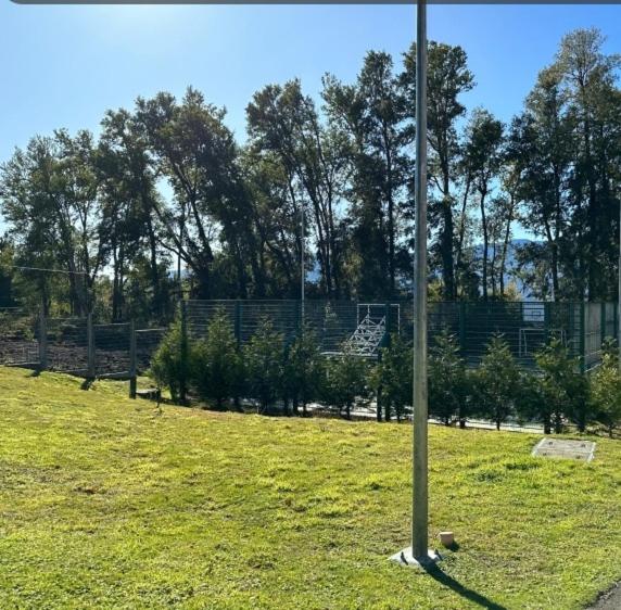 Los Castaños de Alicura