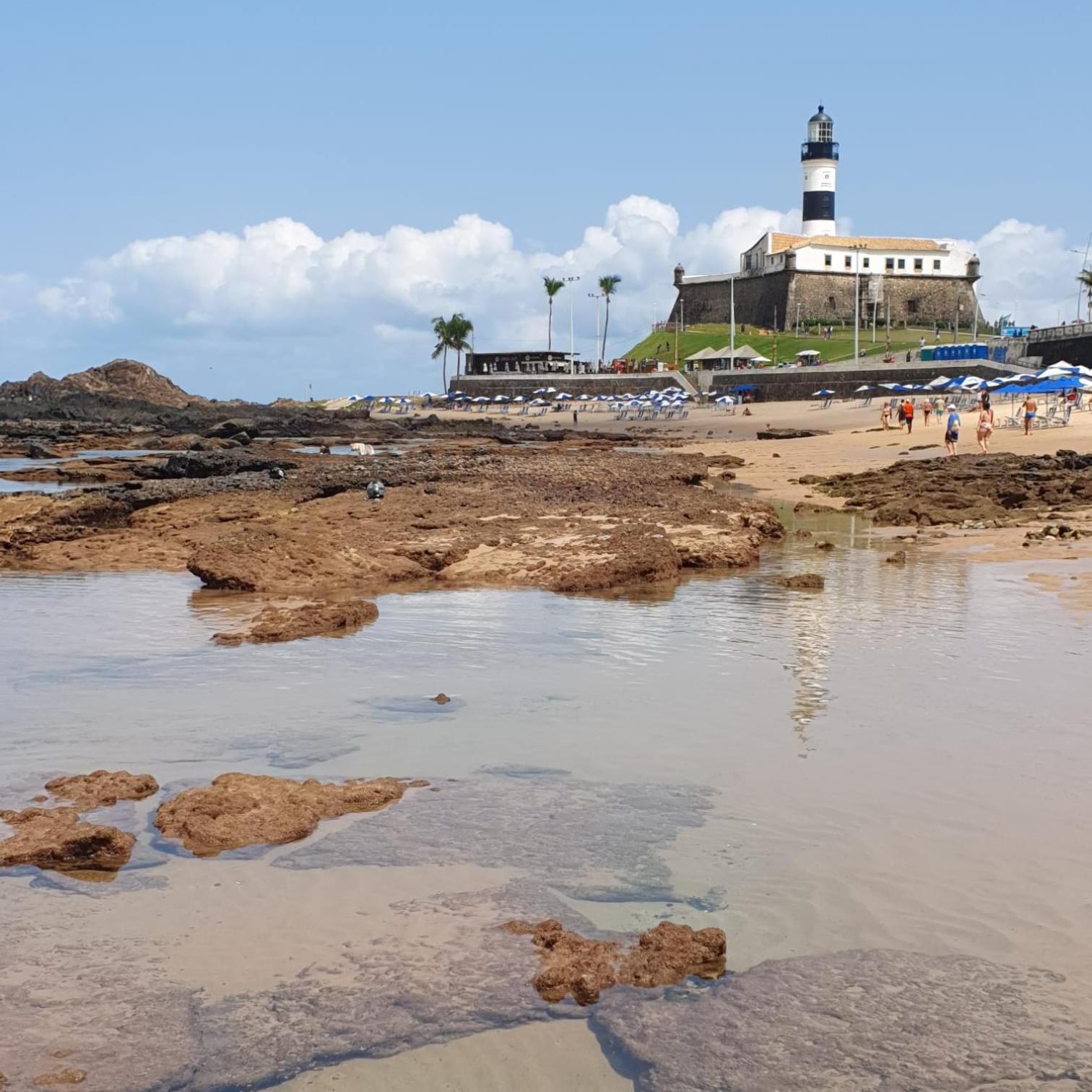 Barra Design