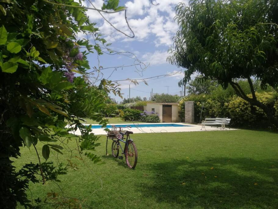 La Abelina