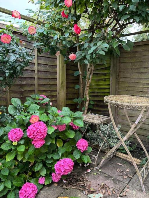 Cozy 1-Bedroom in Turnham Green