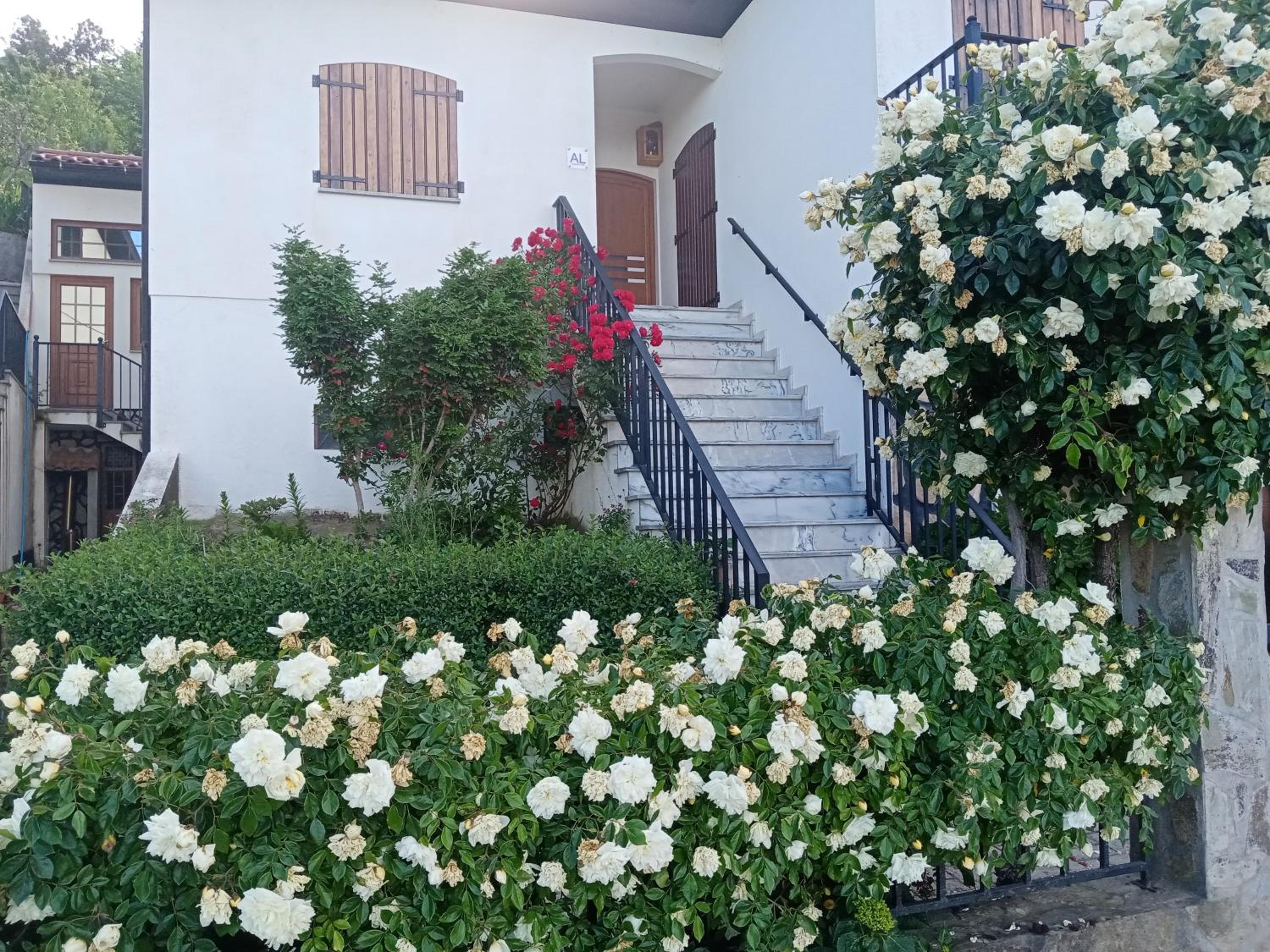 Casa Macedo view 2