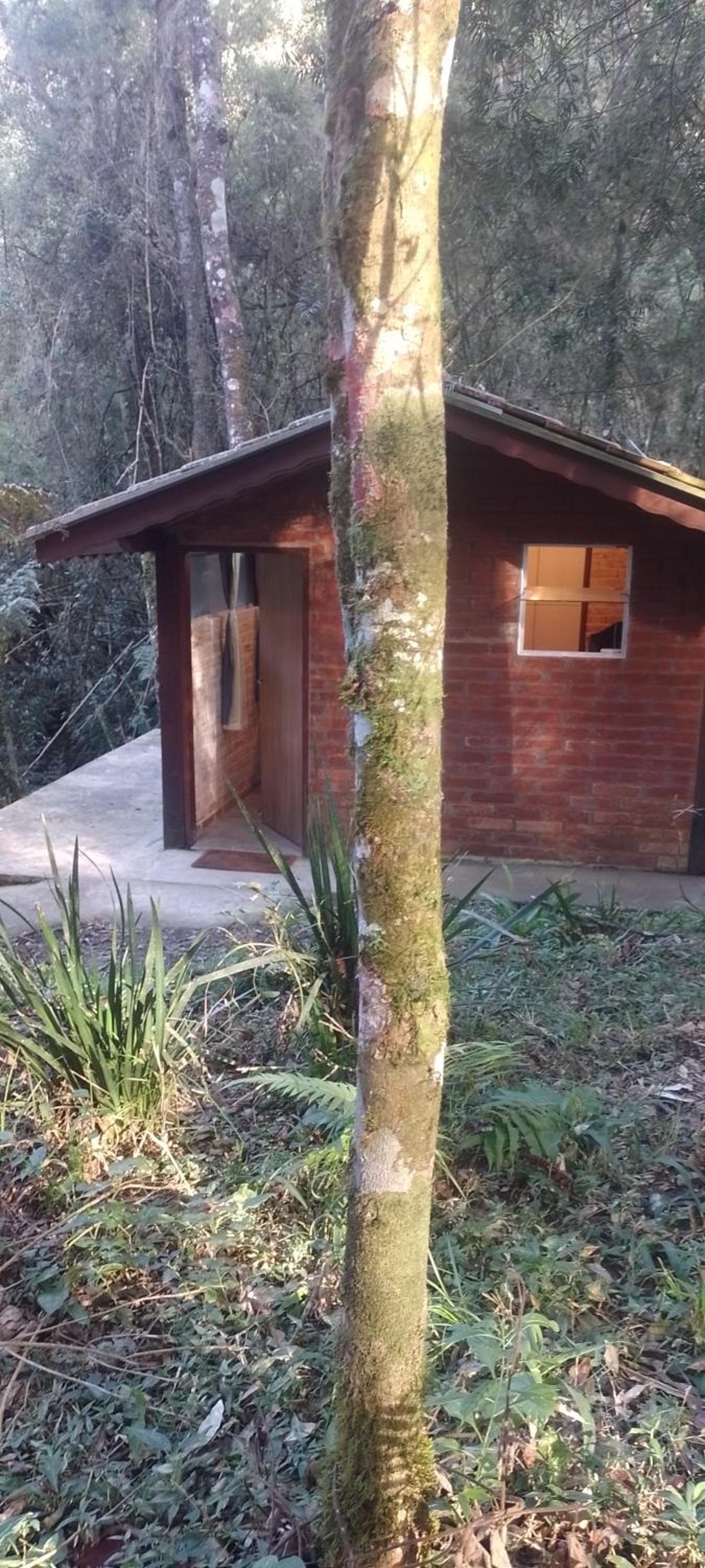 Cantinho na floresta