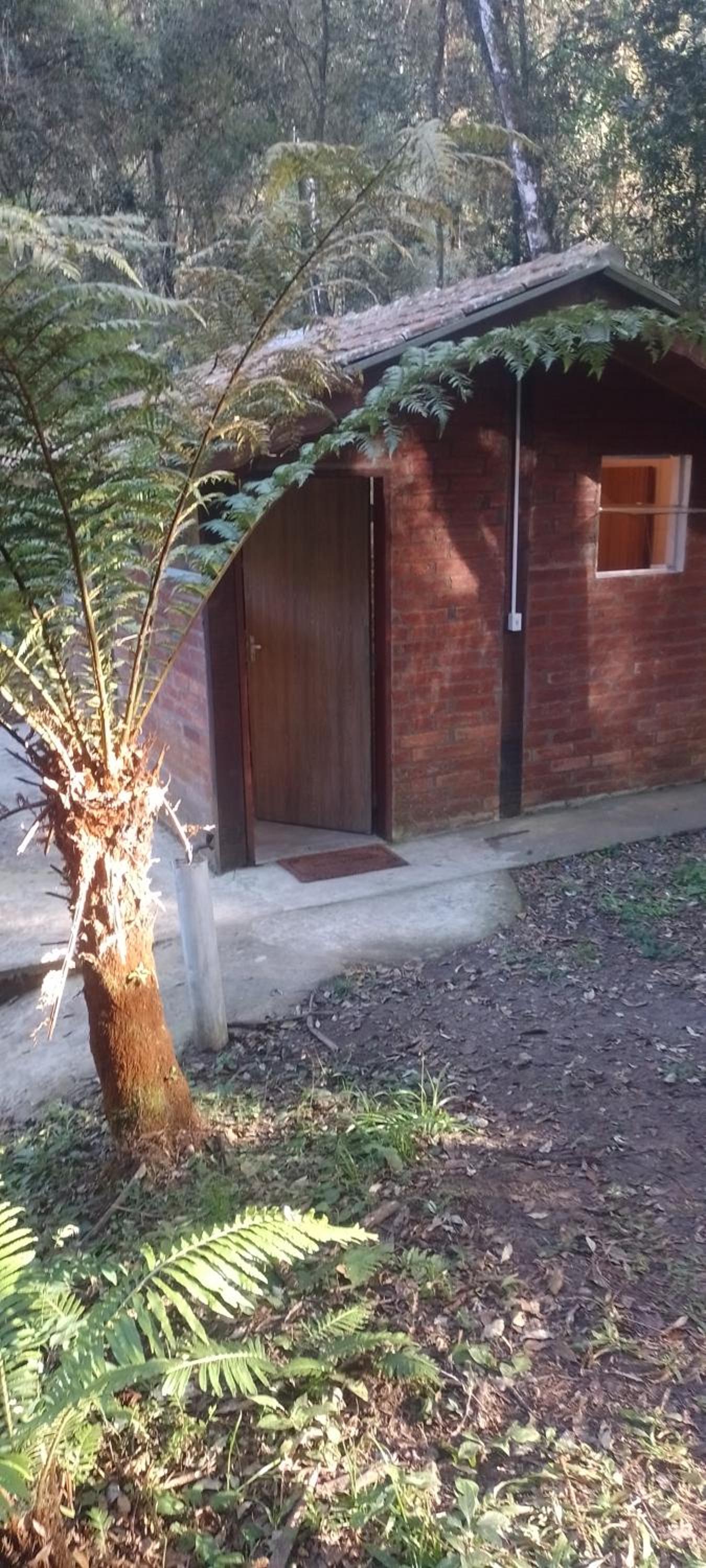 Cantinho na floresta