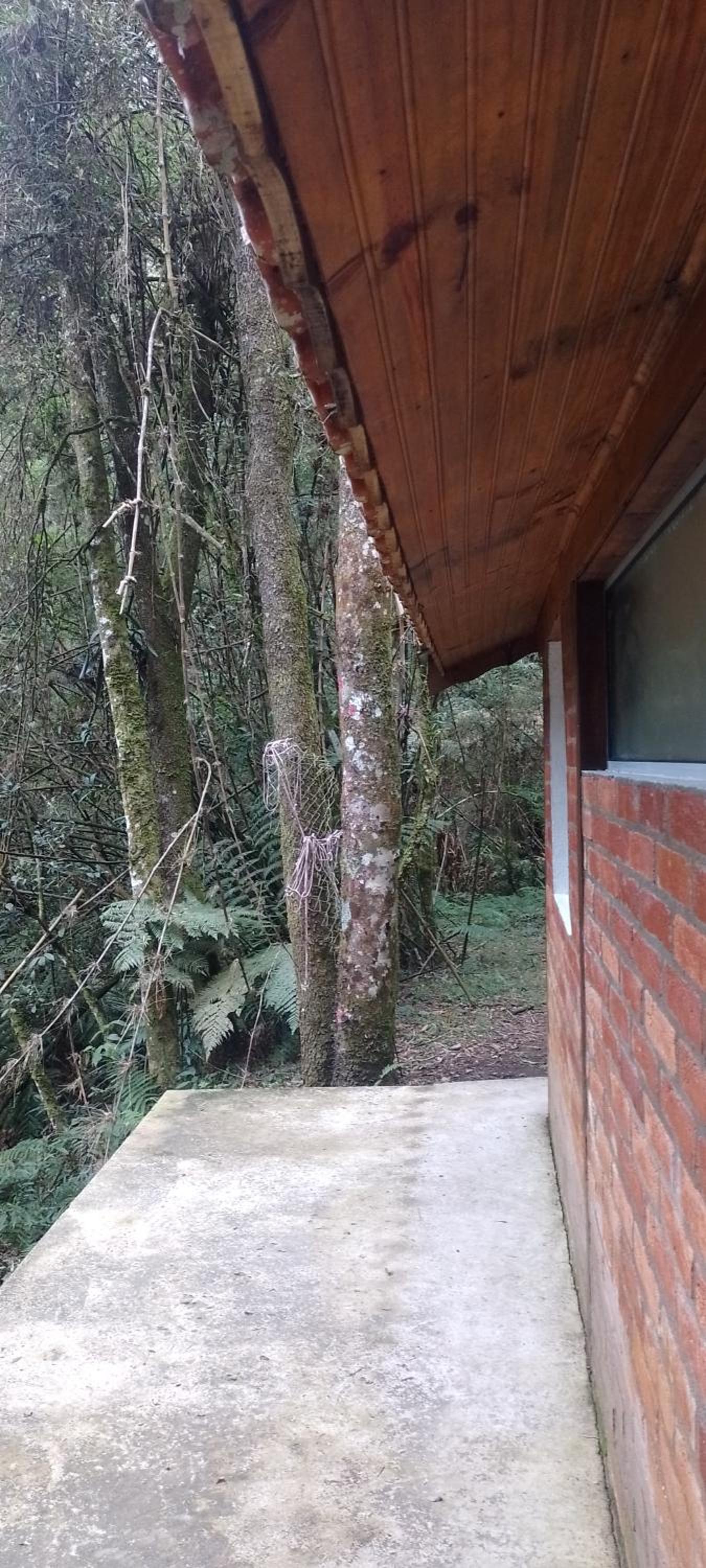 Cantinho na floresta