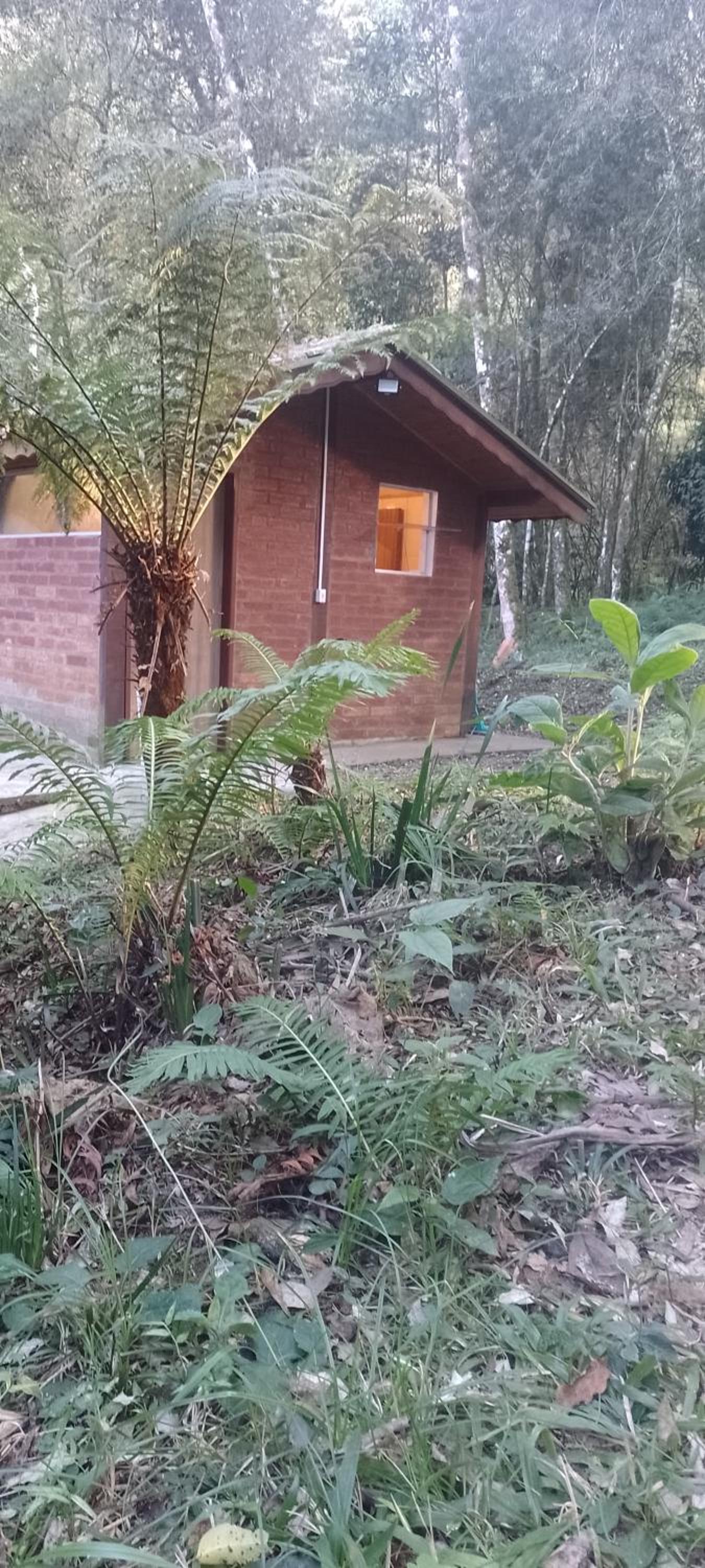 Cantinho na floresta