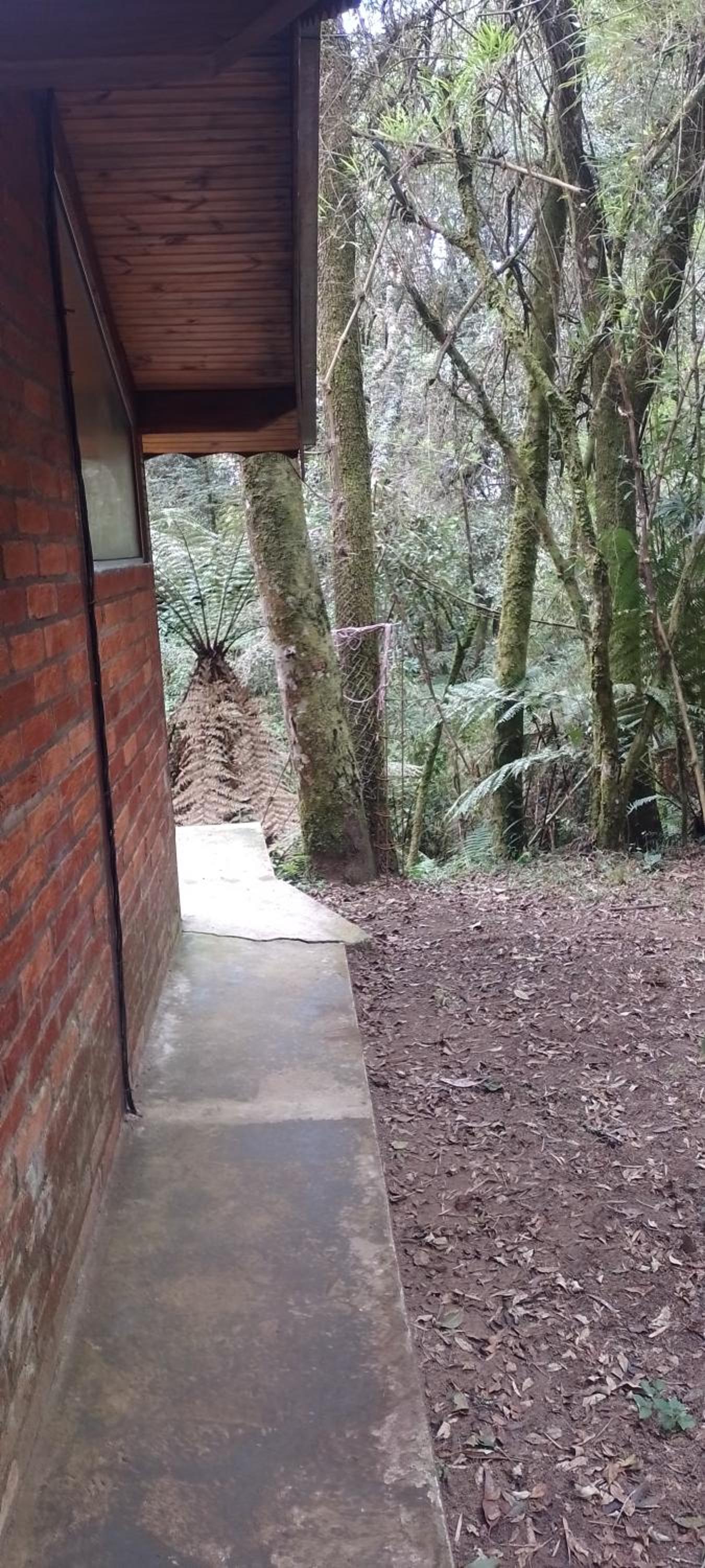Cantinho na floresta