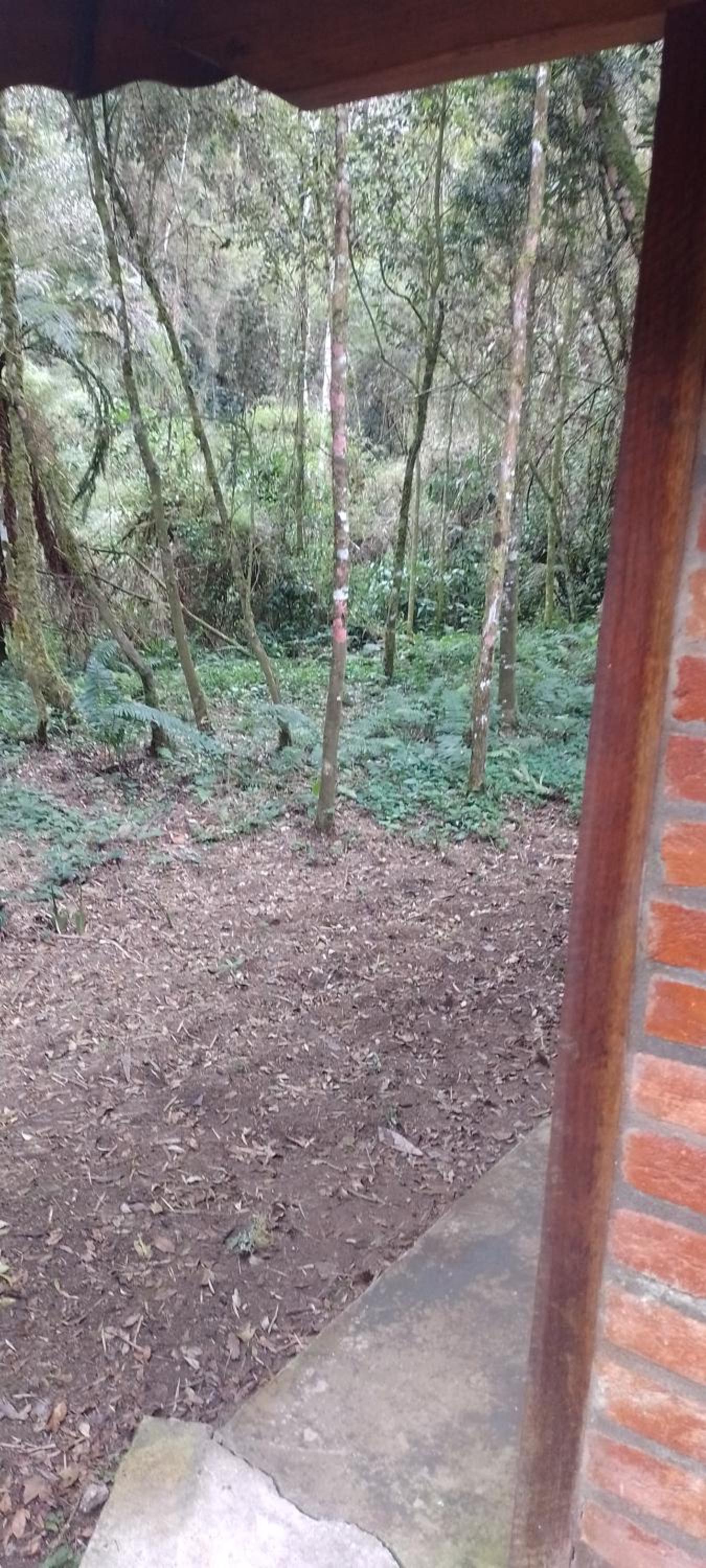 Cantinho na floresta