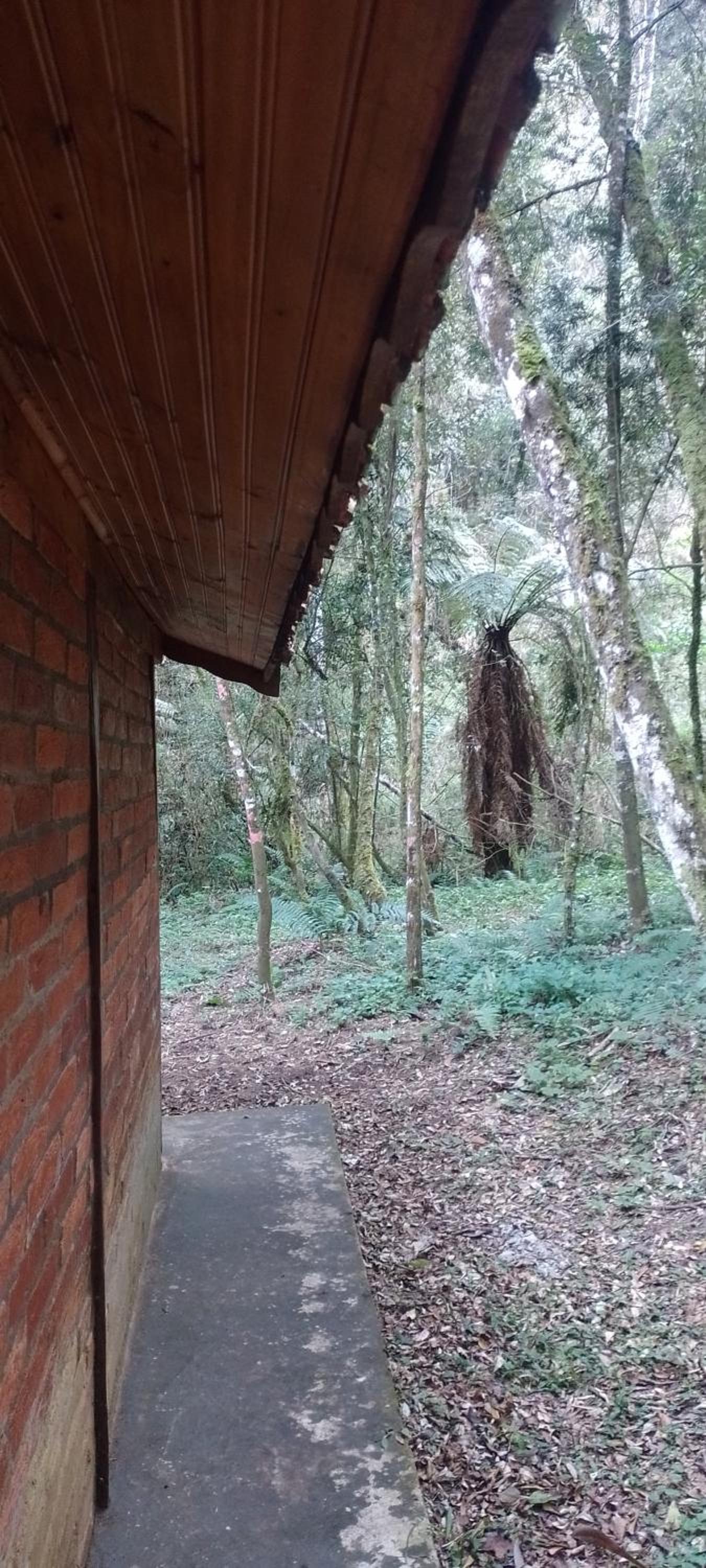 Cantinho na floresta