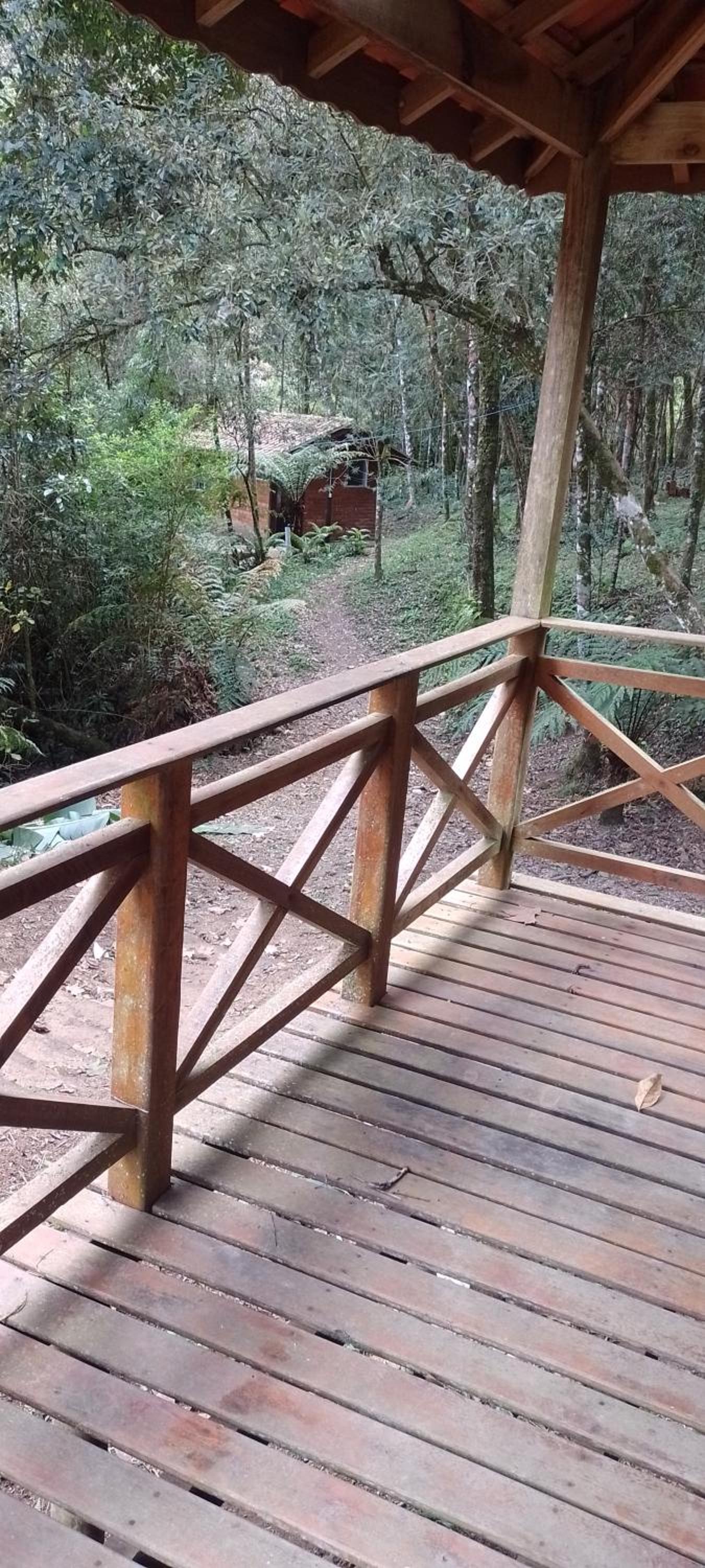 Cantinho na floresta