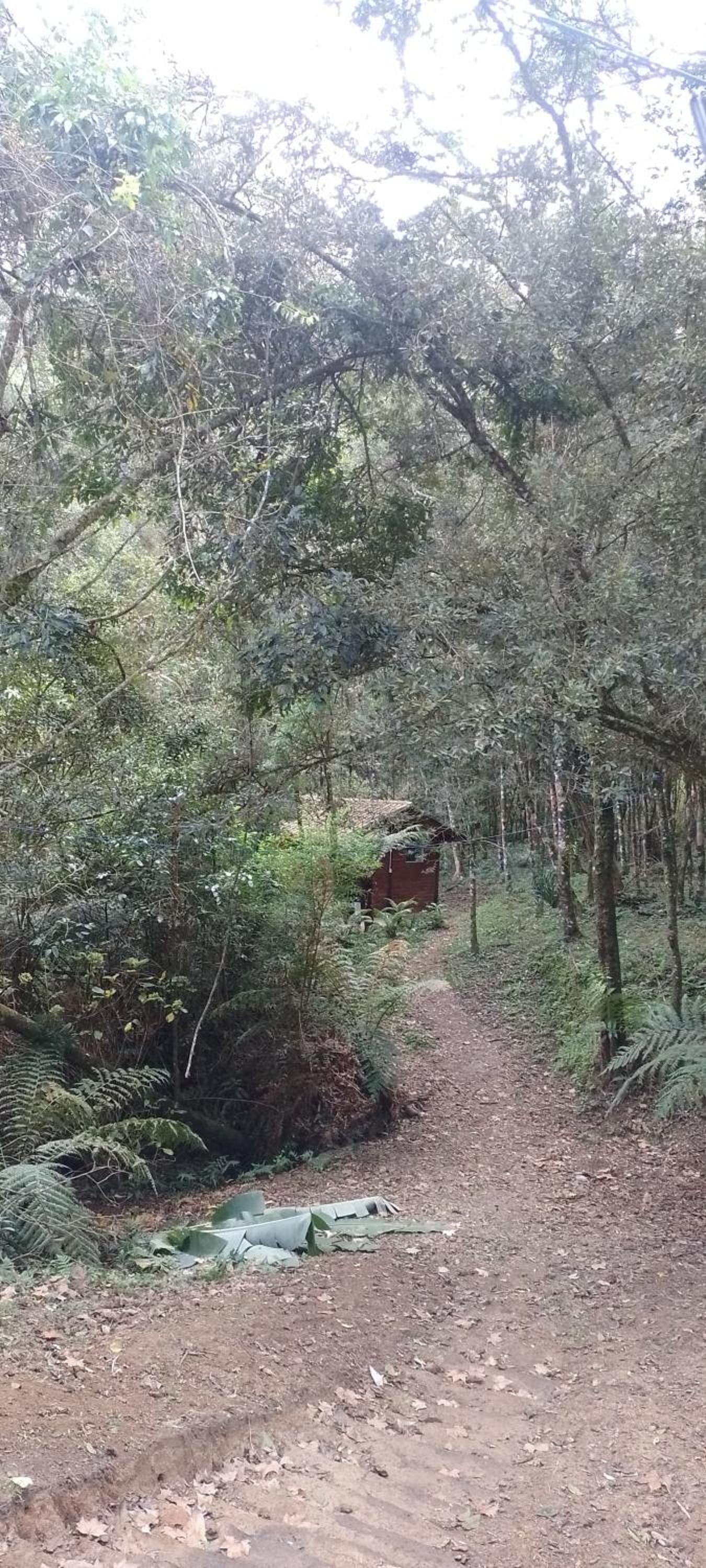 Cantinho na floresta
