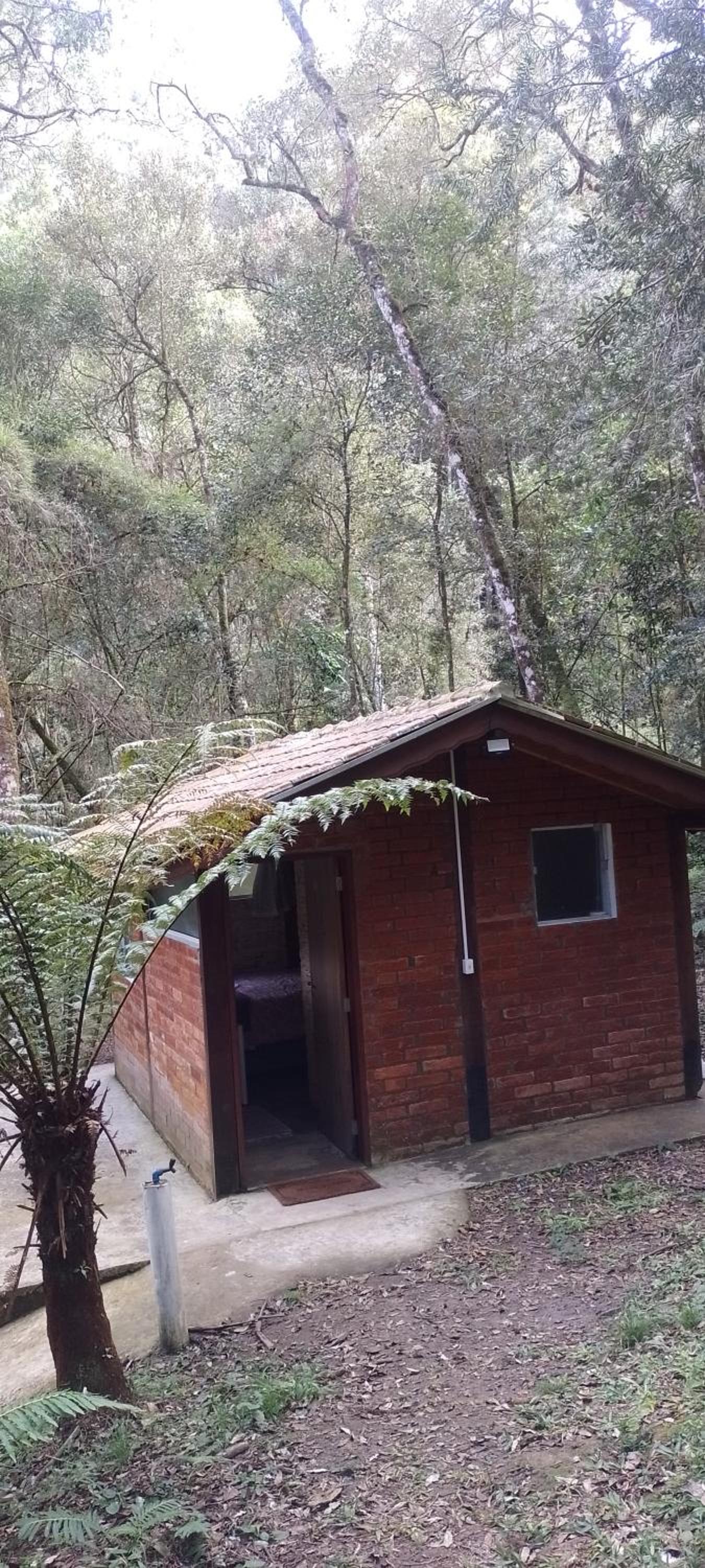 Cantinho na floresta