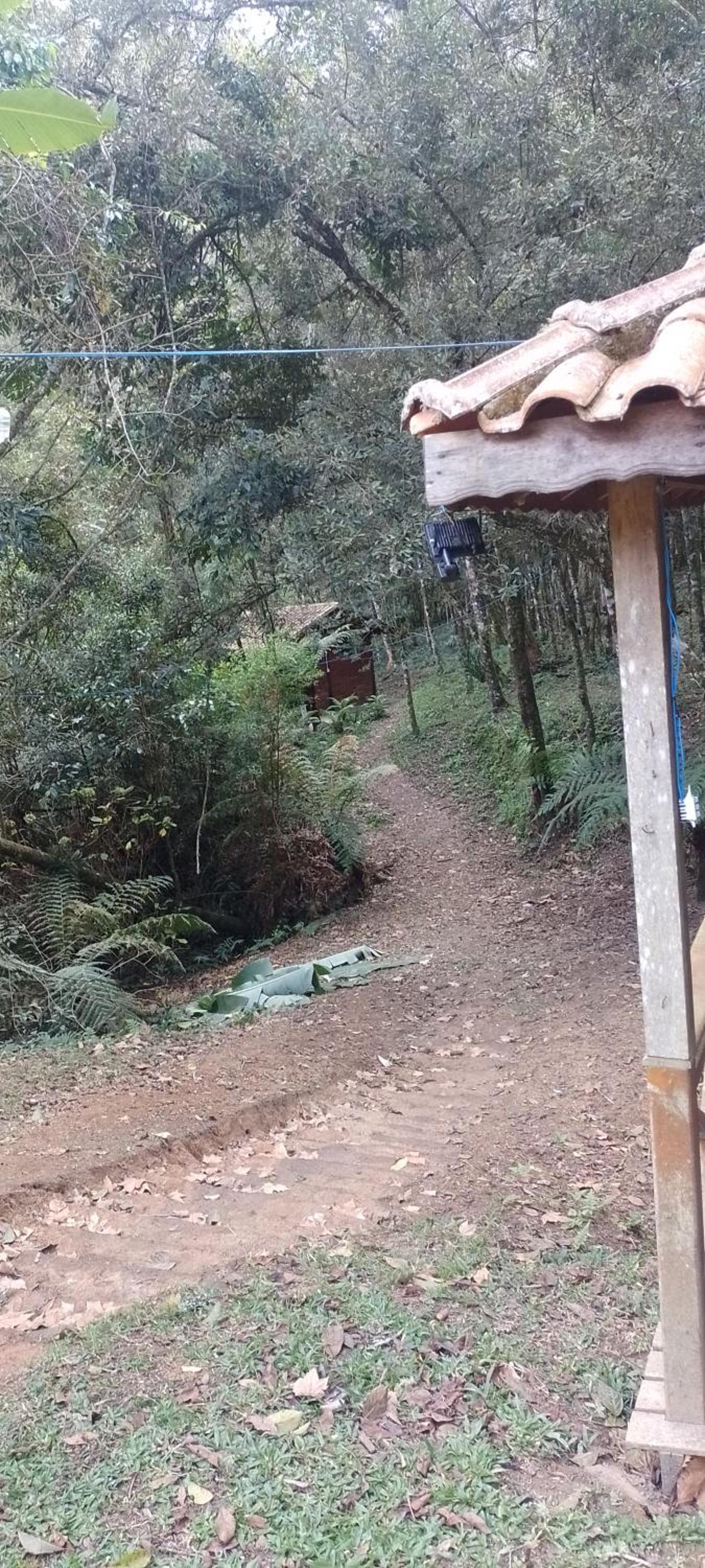 Cantinho na floresta