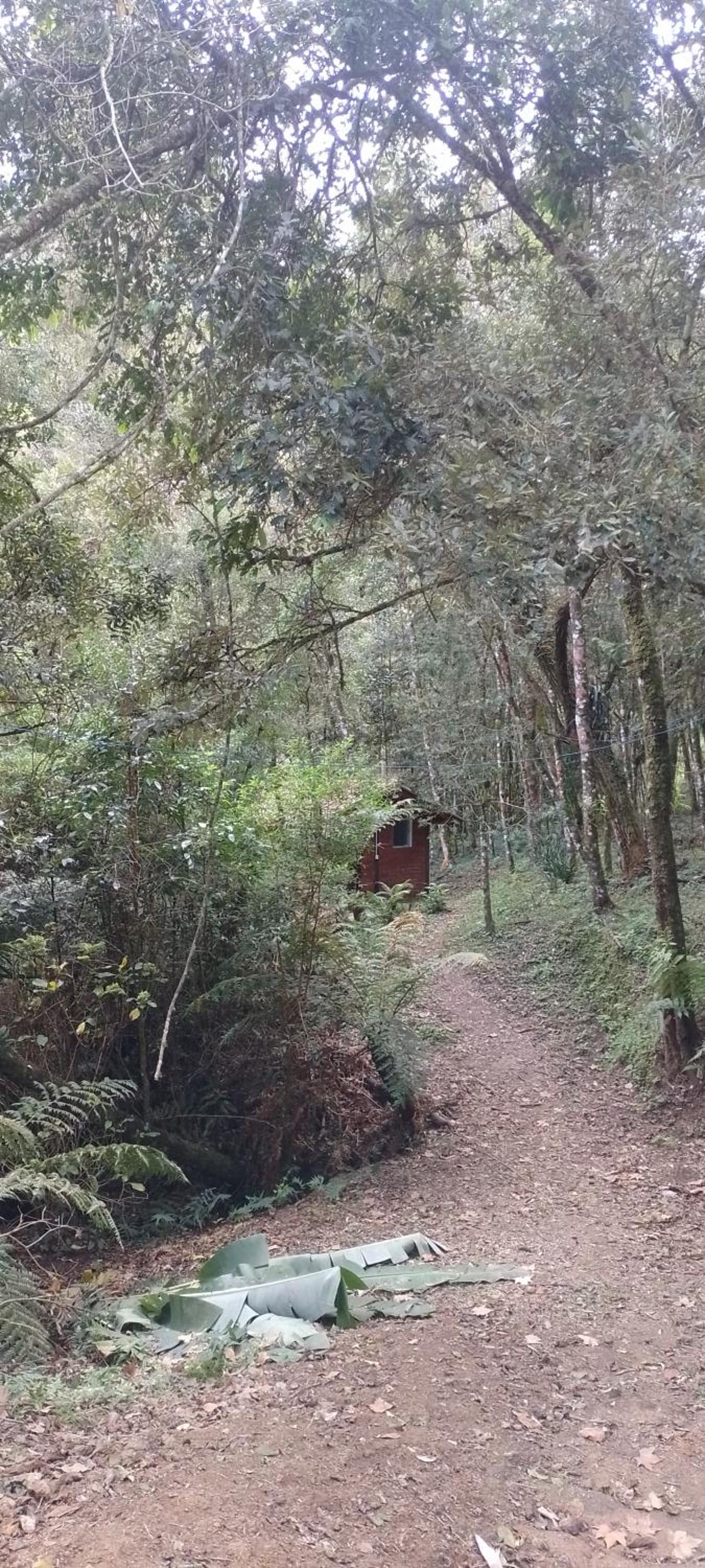 Cantinho na floresta