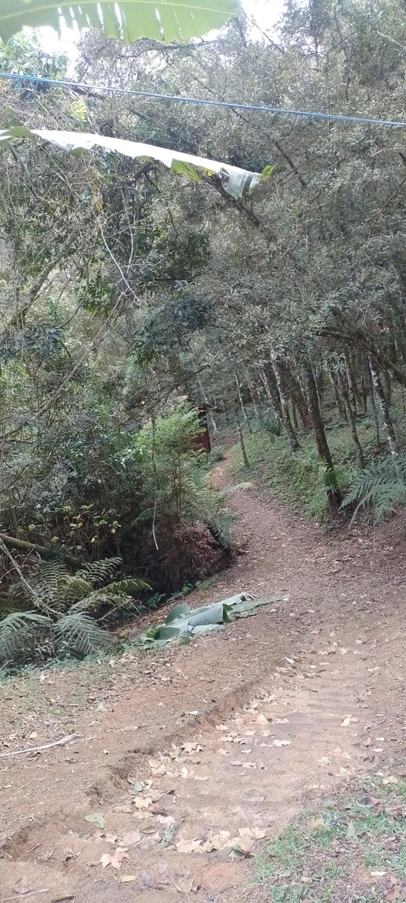 Cantinho na floresta