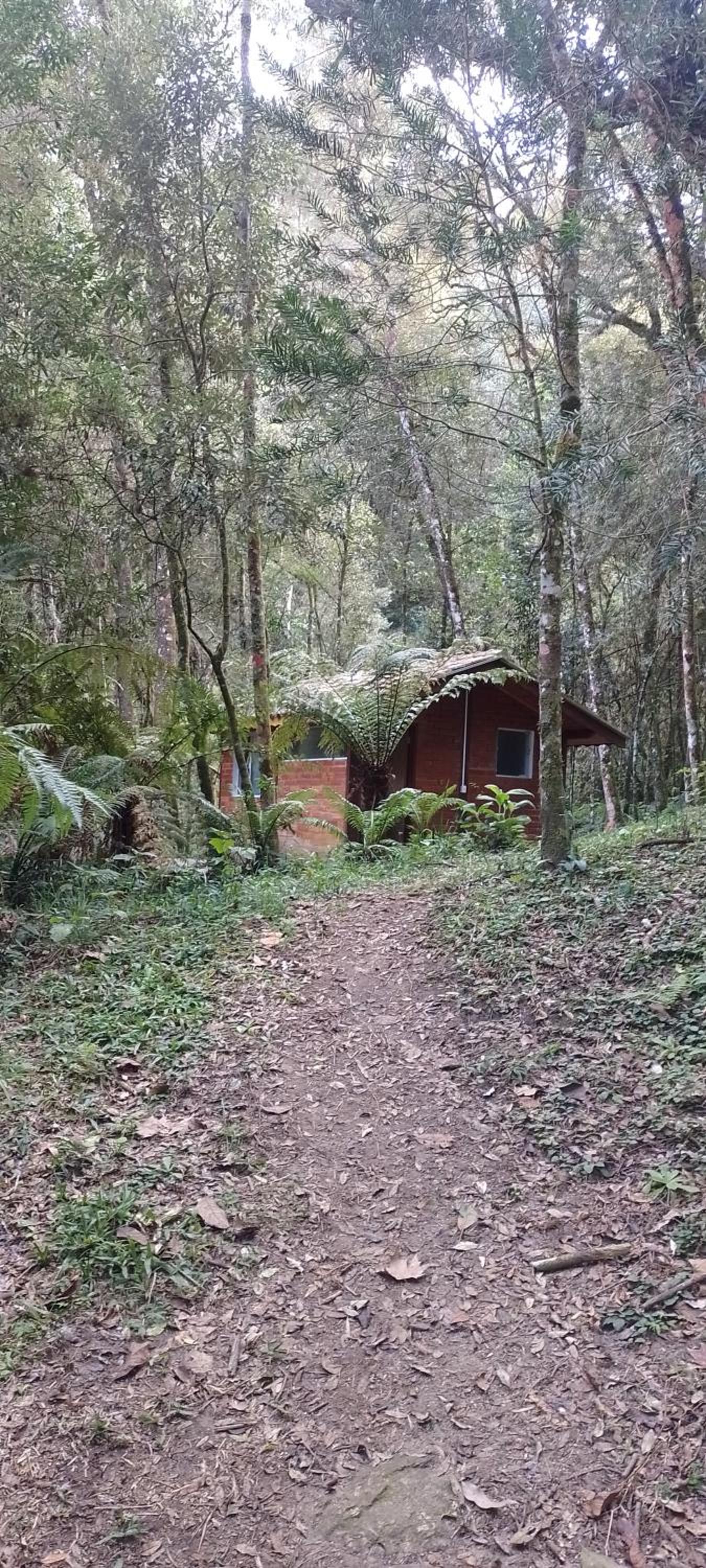 Cantinho na floresta