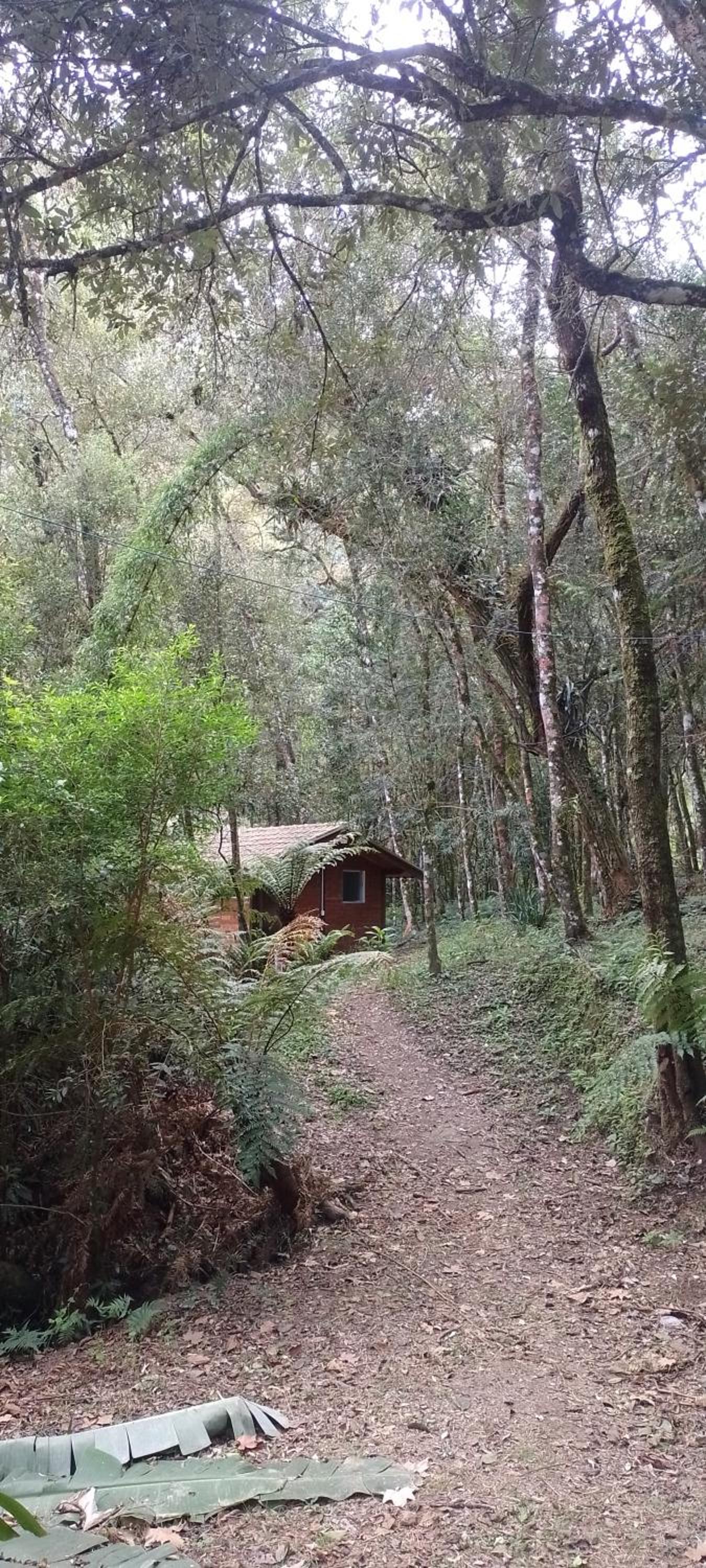Cantinho na floresta