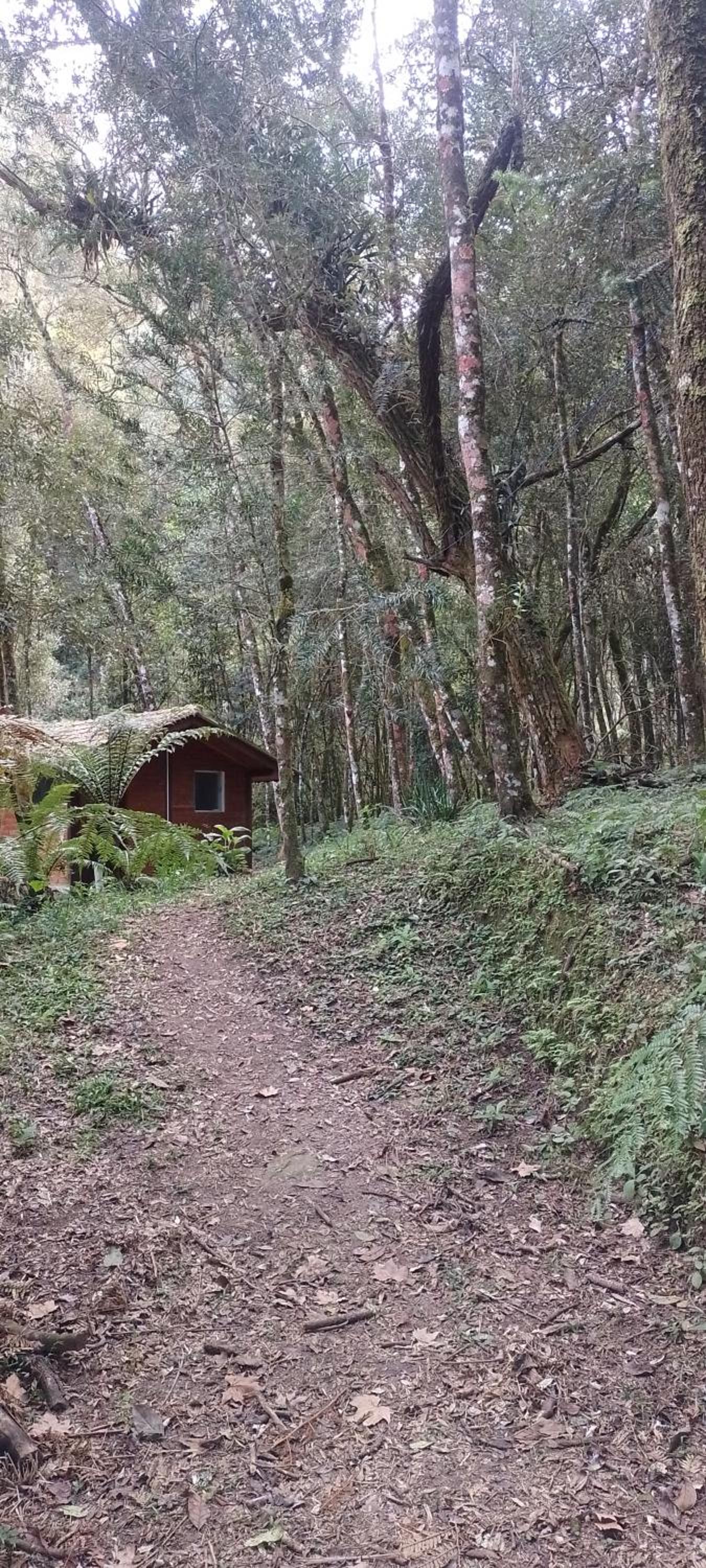Cantinho na floresta