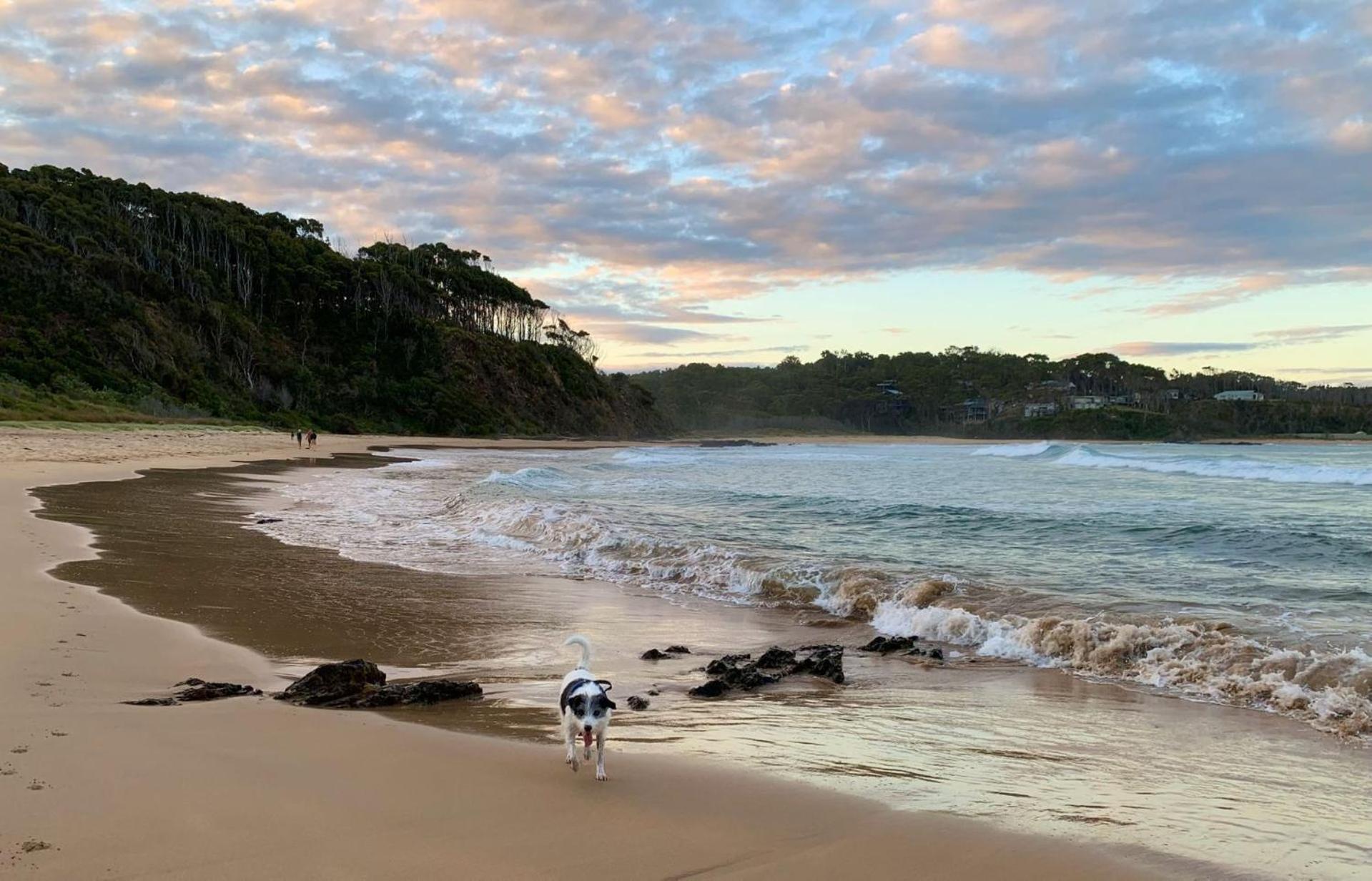 Seascapes at Rosedale managed by Batemans Bay Accom