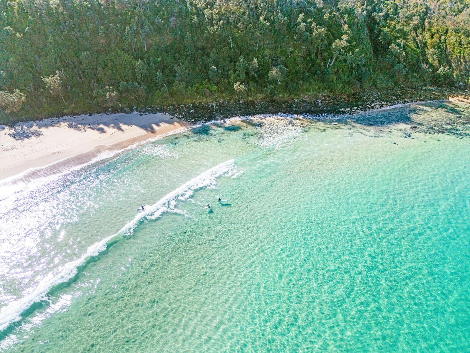 Surf Watch Mollymook - panoramic beach vistas