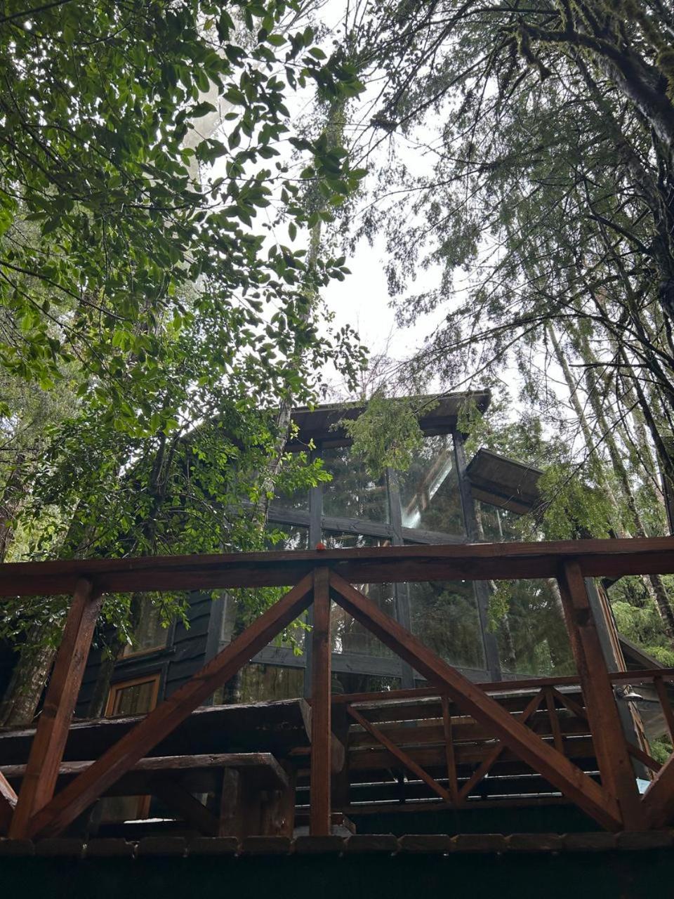 El Refugio de Hadas y Elfos
