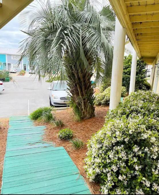 Walk to 3 beaches, 2 bikes included, Updated Condo view 2