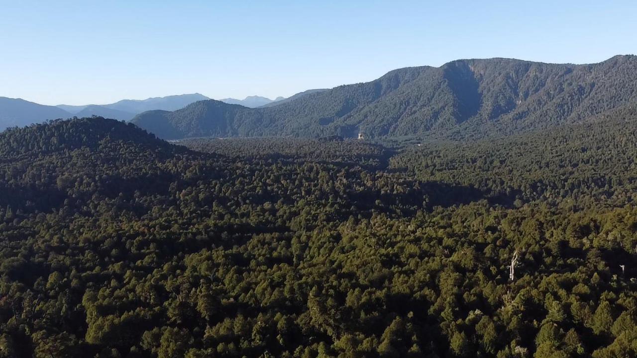 El Refugio de Hadas y Elfos