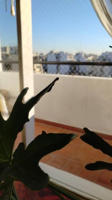 Great Flat For Groups in Almagro