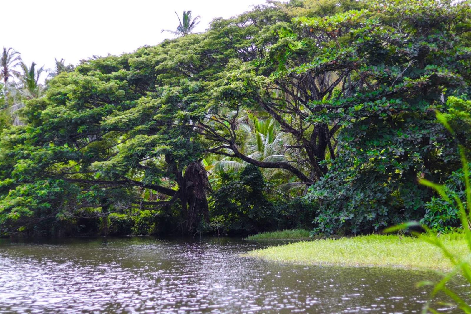 Lake View Villa - Tangalle