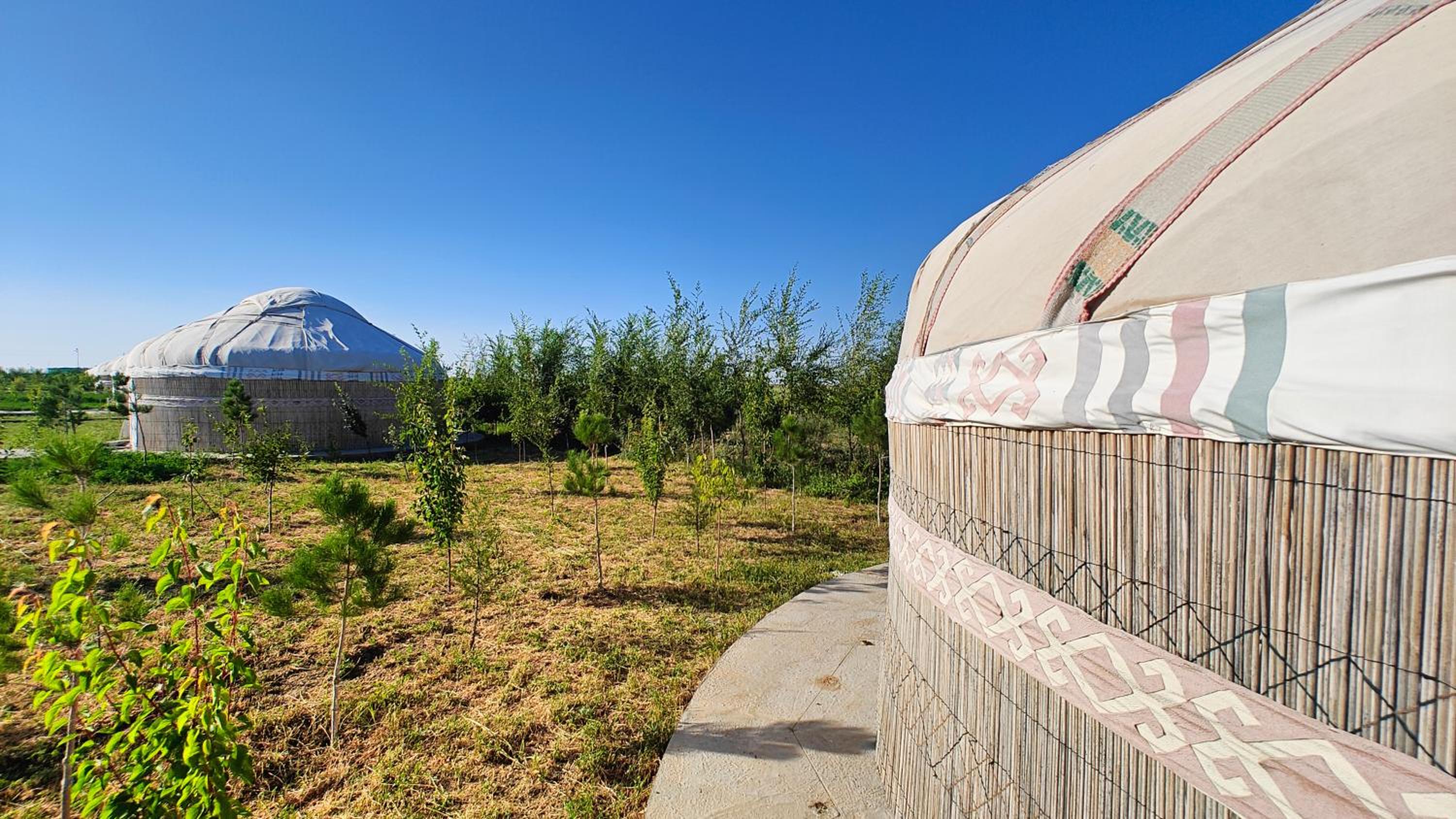Nomad Island Bukhara