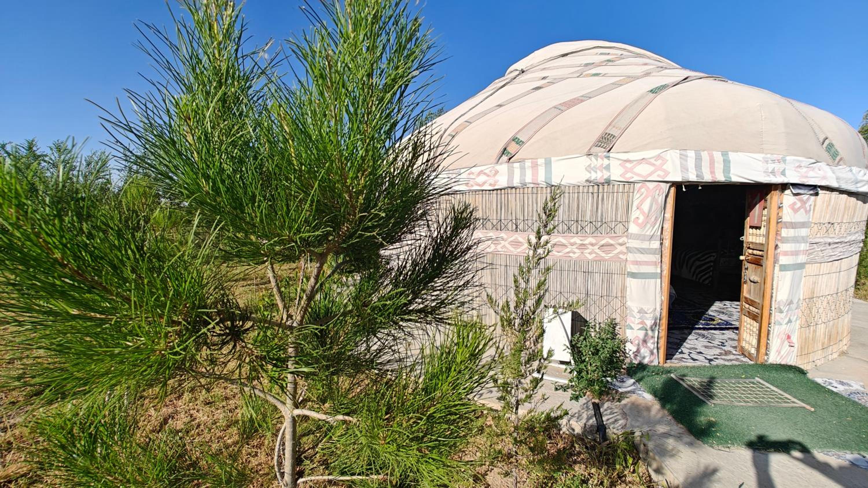 Nomad Island Bukhara
