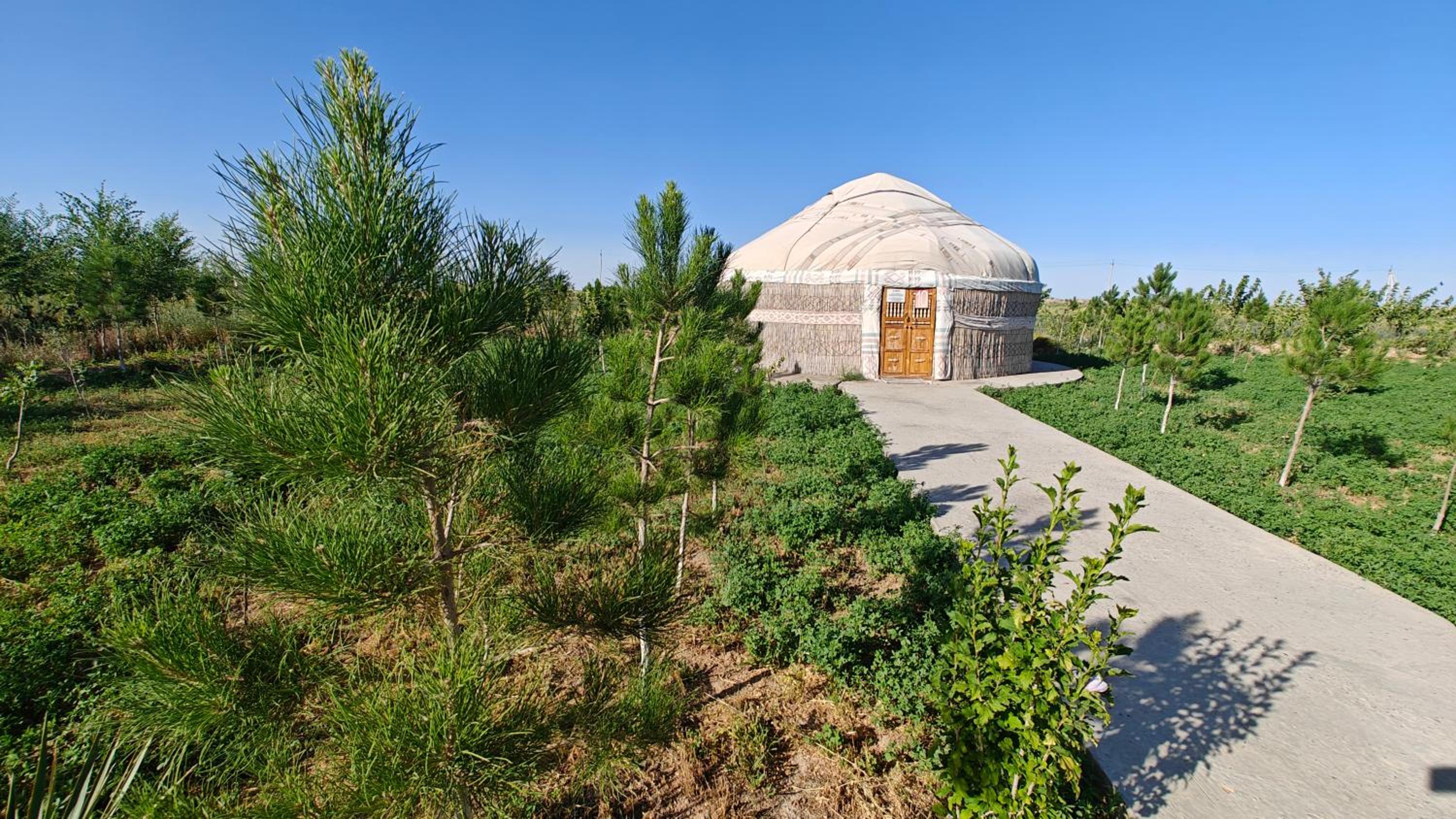 Nomad Island Bukhara