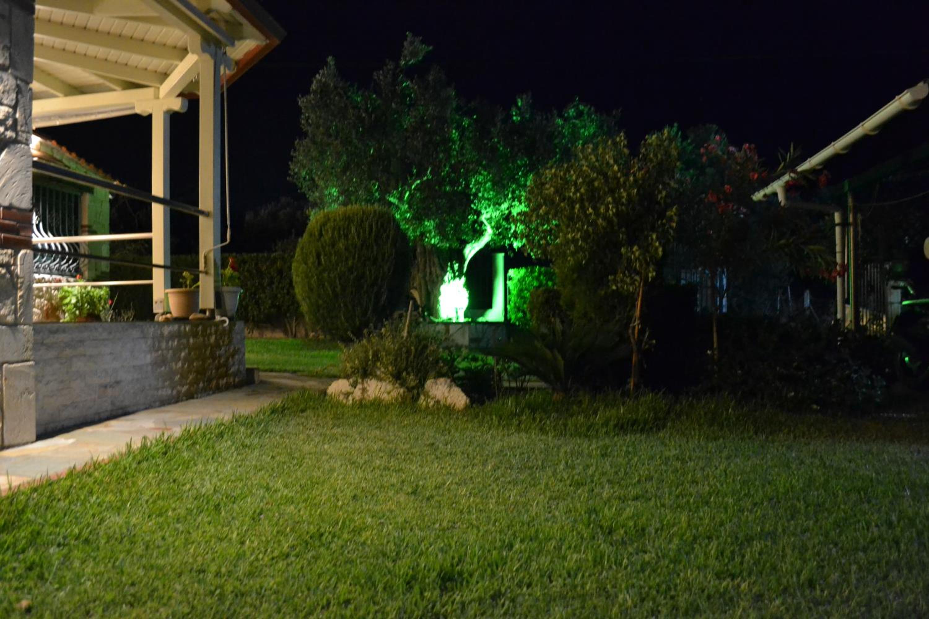 Photo 8