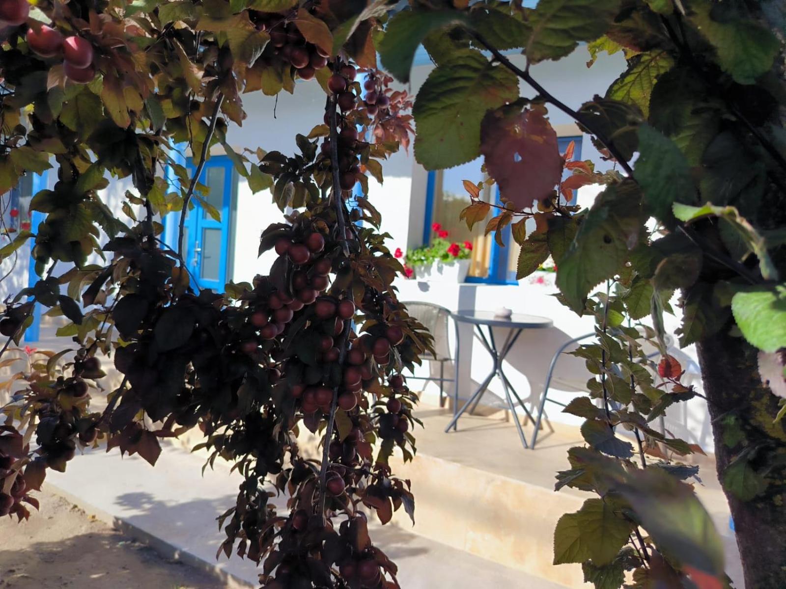 Photo 14