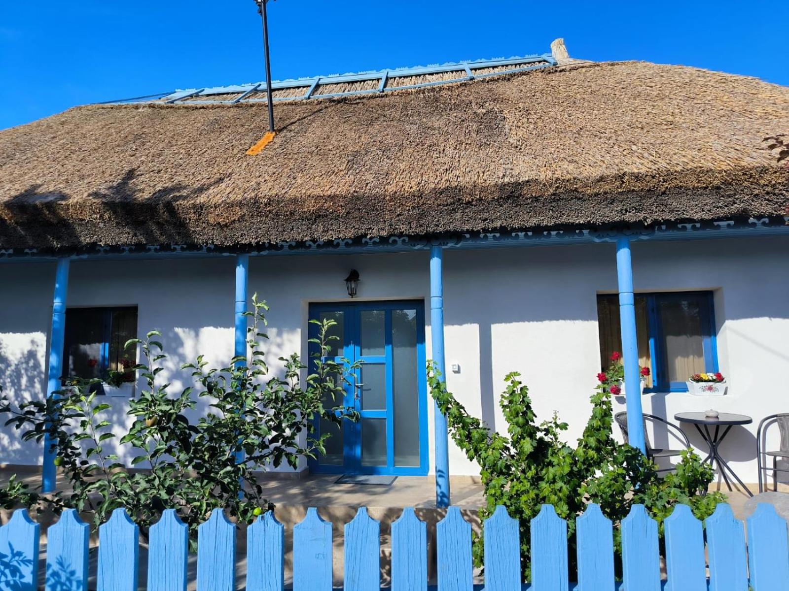 Casa lui Matei Murighiol#2 view 3