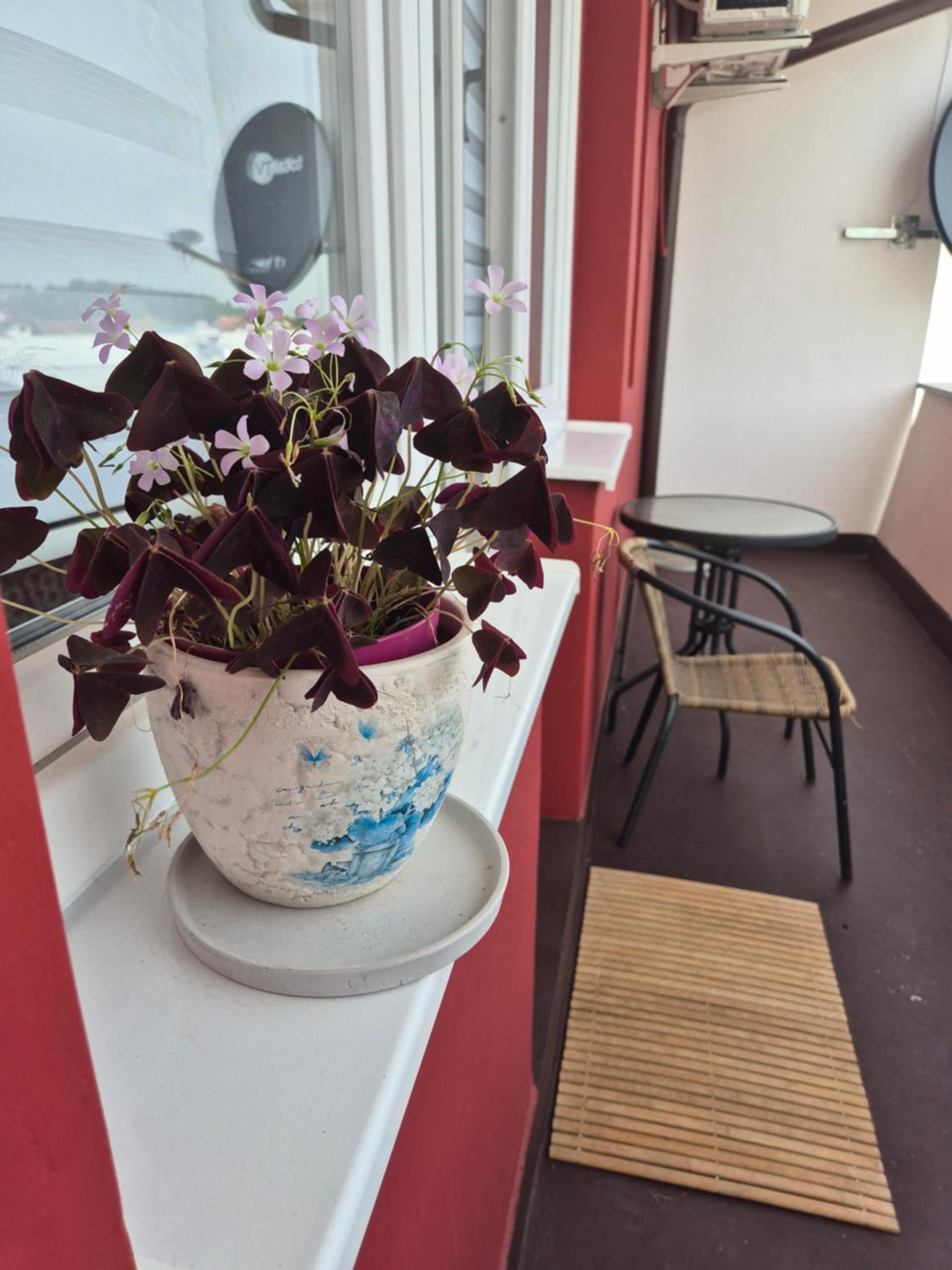 Apartman Srbac