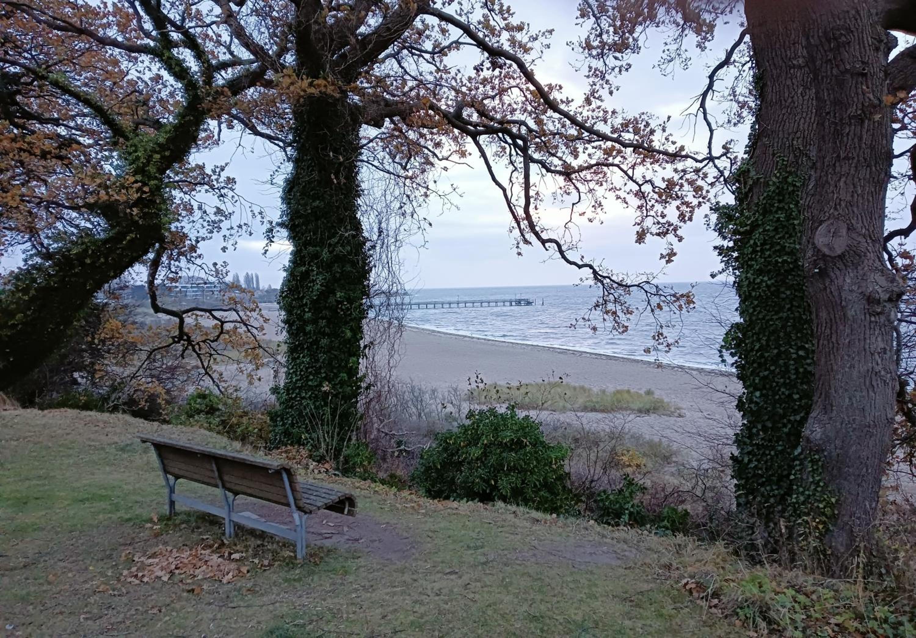 Fewo Muschelgetuschel im Prinz Hamlet - Pool und direkte Strandlage