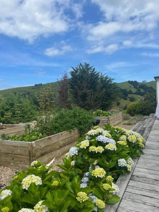 Te Whare Farm Puhoi