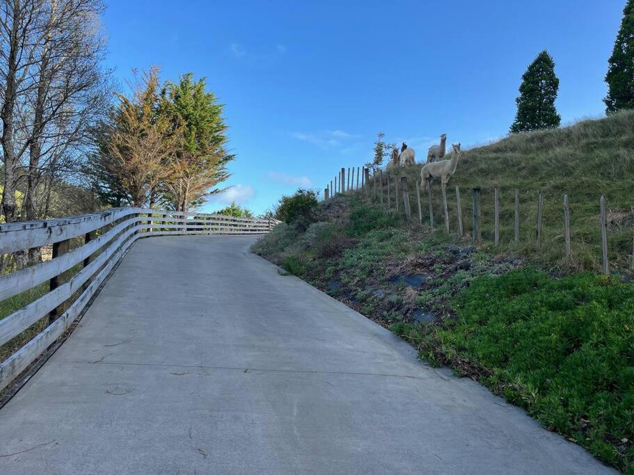 Te Whare Farm Puhoi