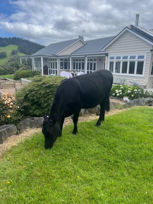 Te Whare Farm Puhoi