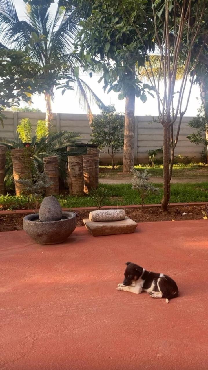 Aastha homestay
