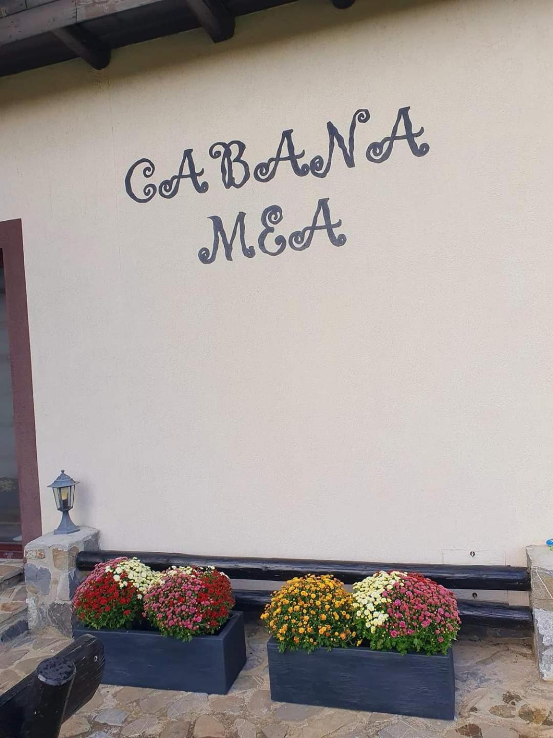Cabana Mea