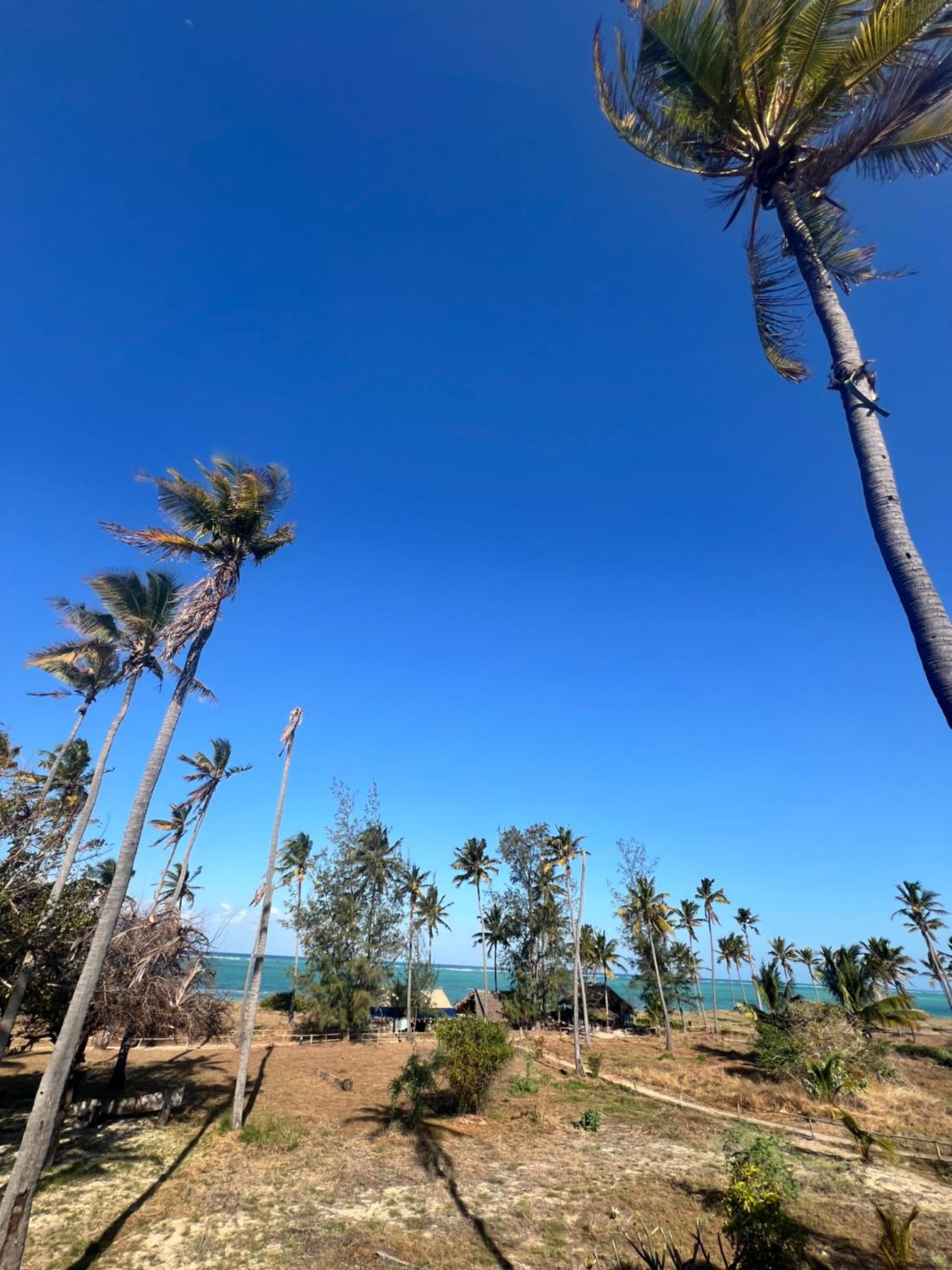 Chuiba Palms view 3