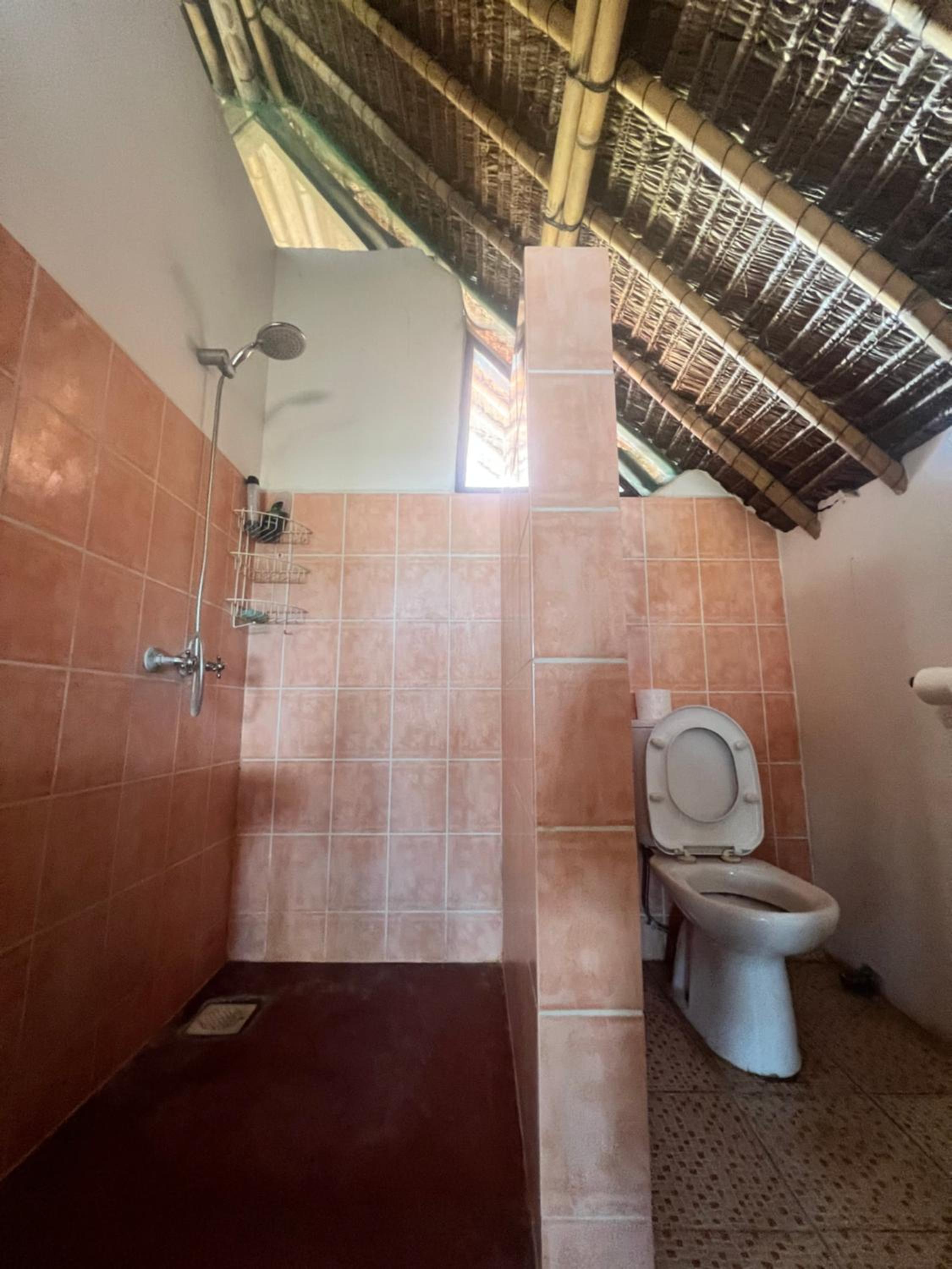 Chuiba Palms view 4