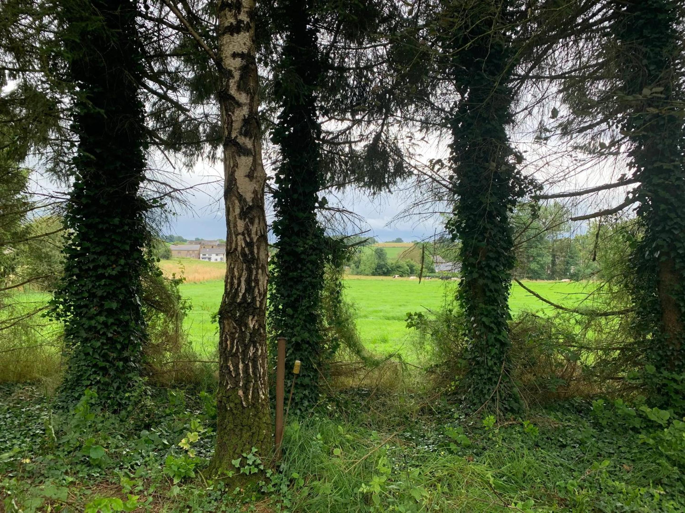 Charming cosy house in Ohey, perfect for 2 people