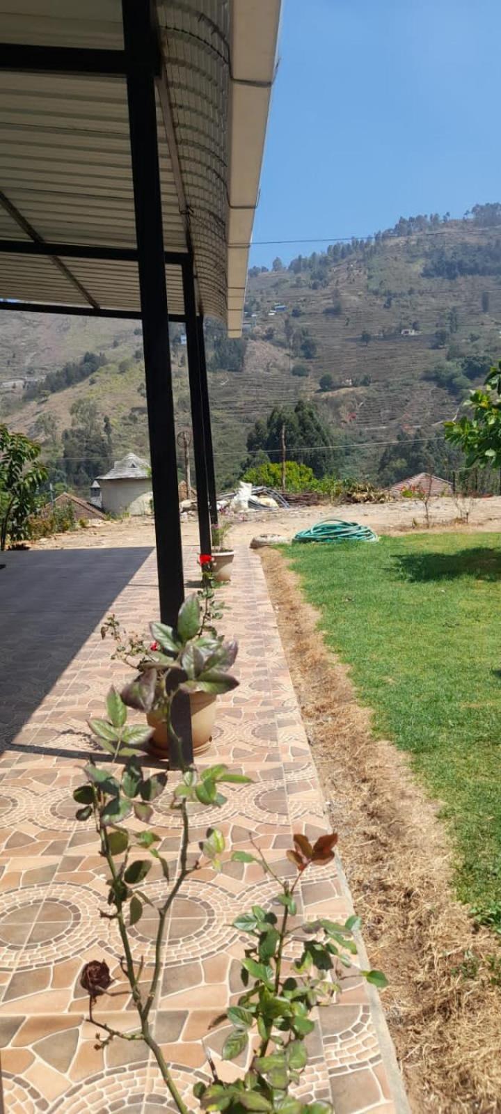 Photo 10