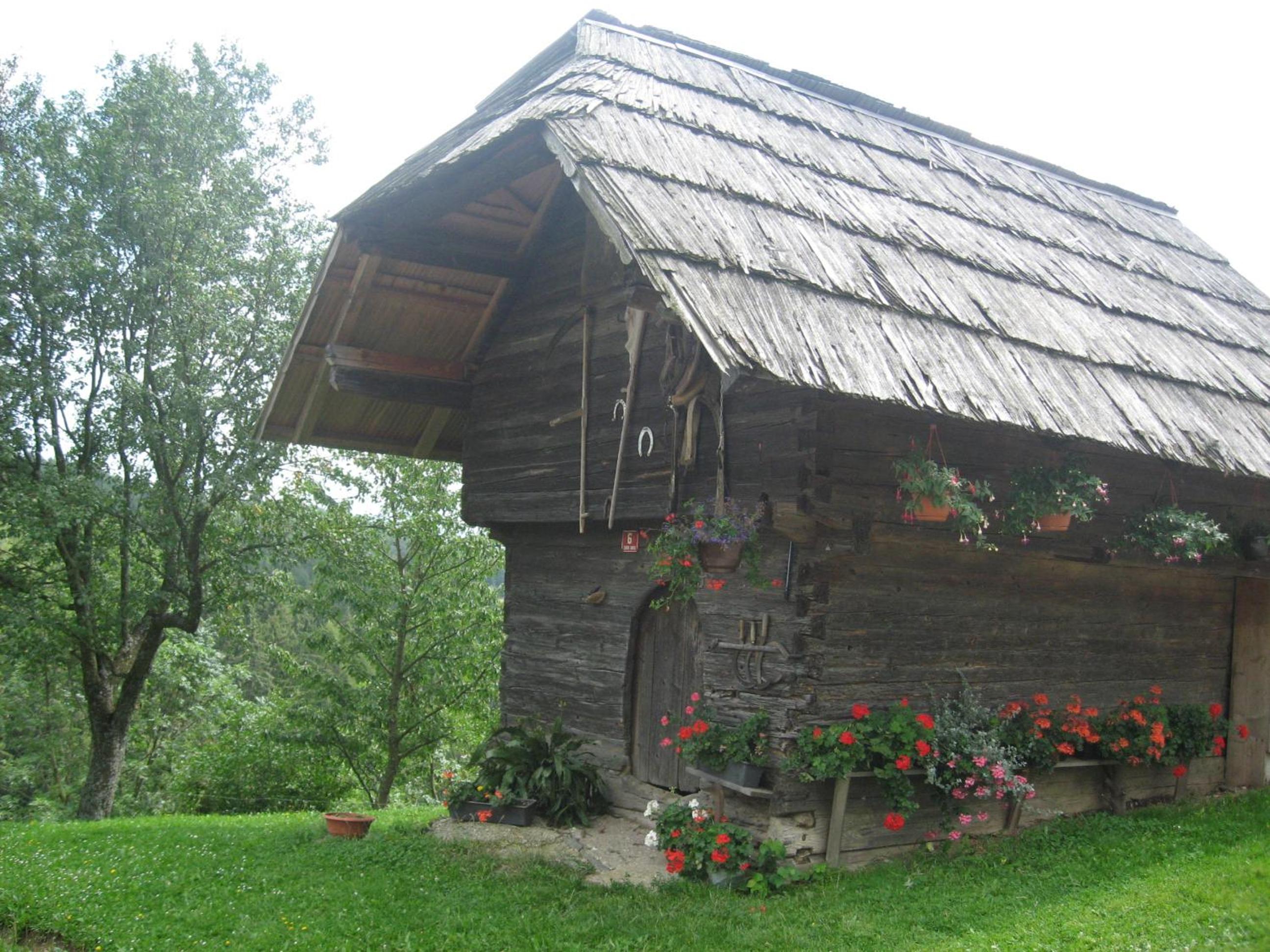 Photo 56